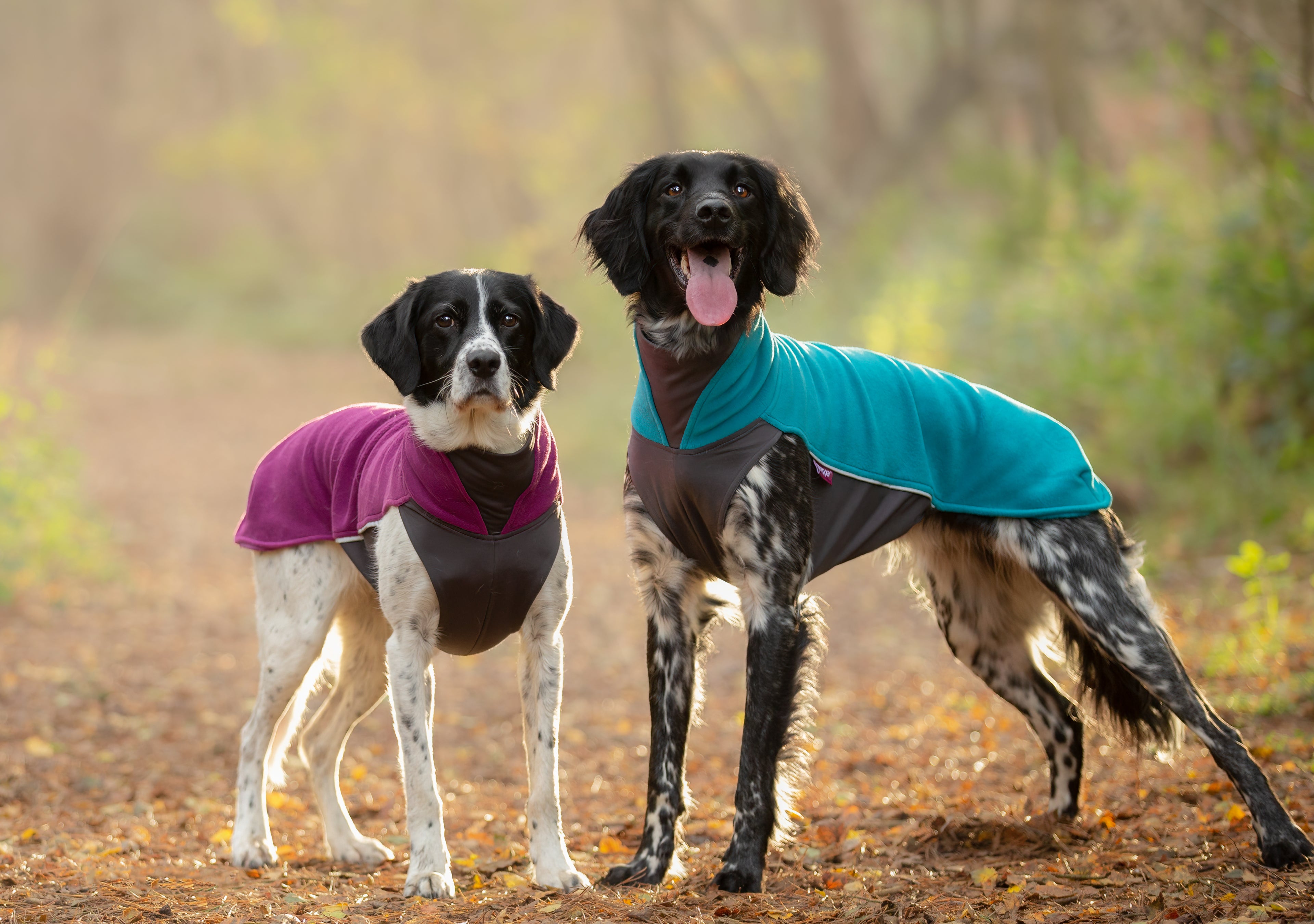 Pomppa Jumppa manteau polaire pour chien Petrol