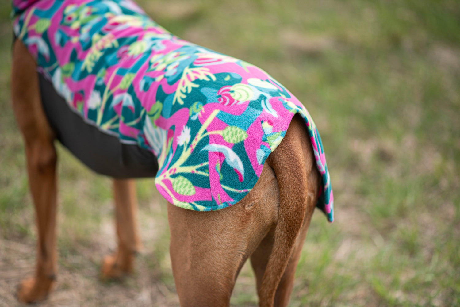 Pomppa Jumppa manteau polaire pour chien Trail