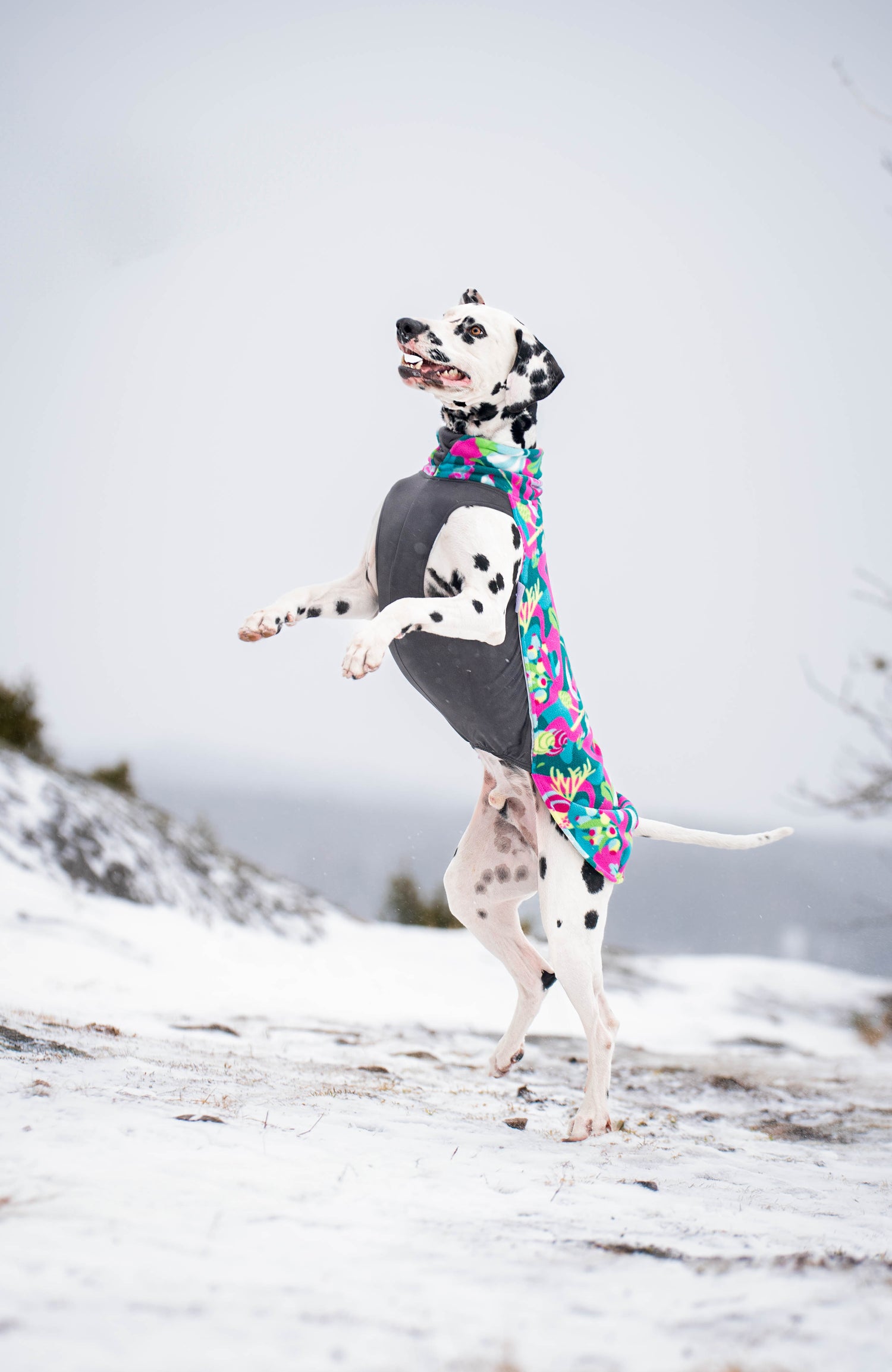 Pomppa Jumppa manteau polaire pour chien Trail