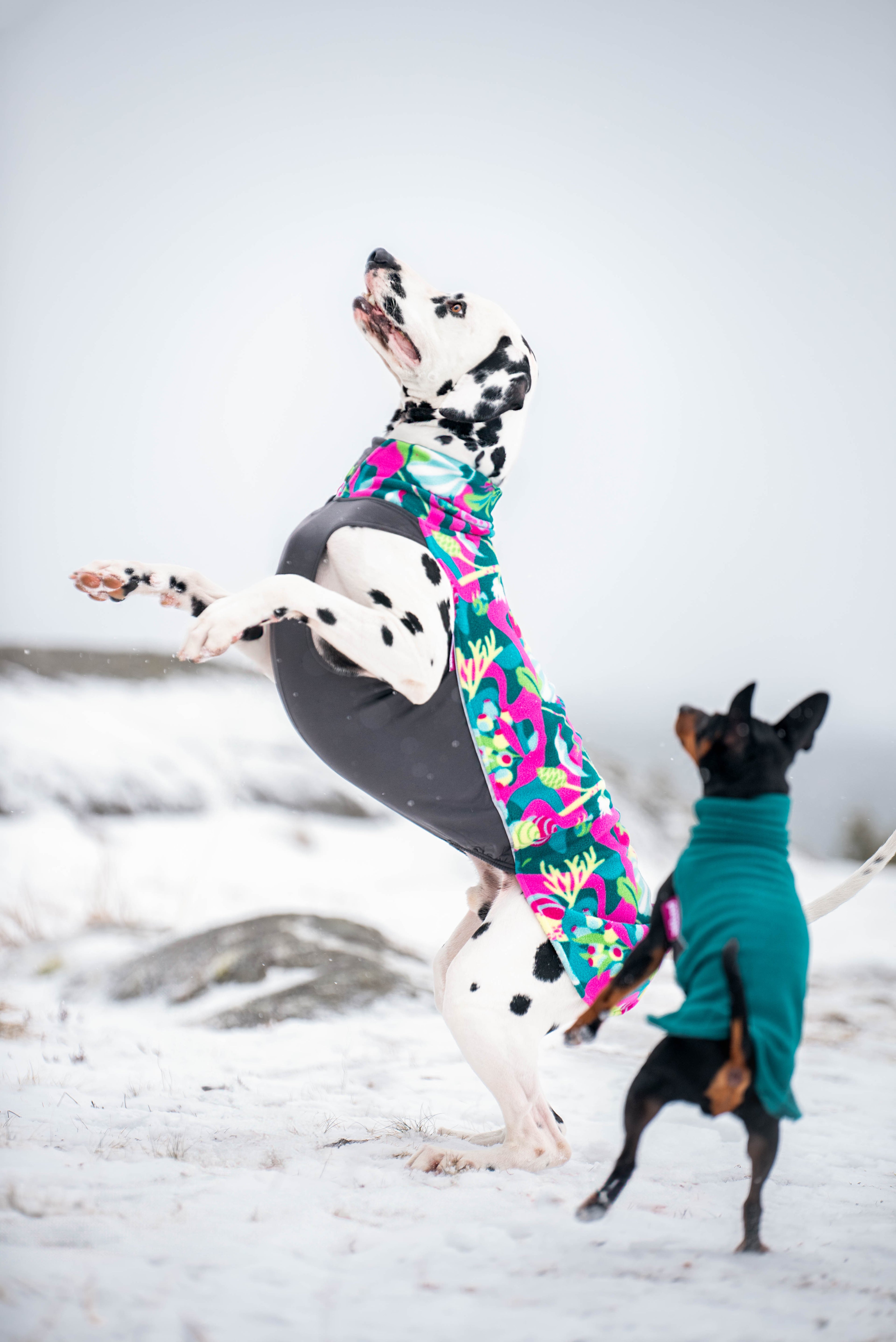 Pomppa Jumppa manteau polaire pour chien Trail