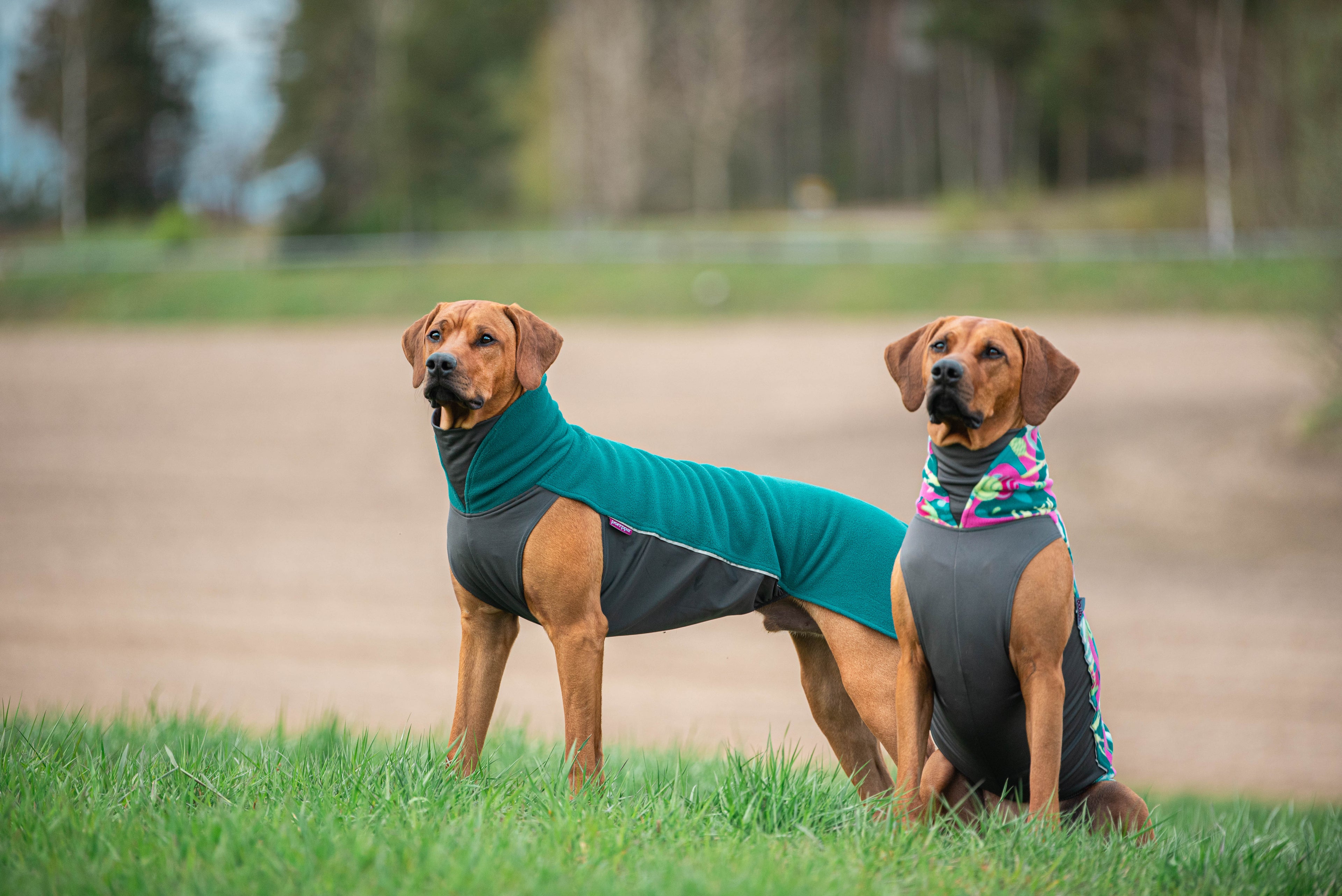 Pomppa Jumppa manteau polaire pour chien Forest