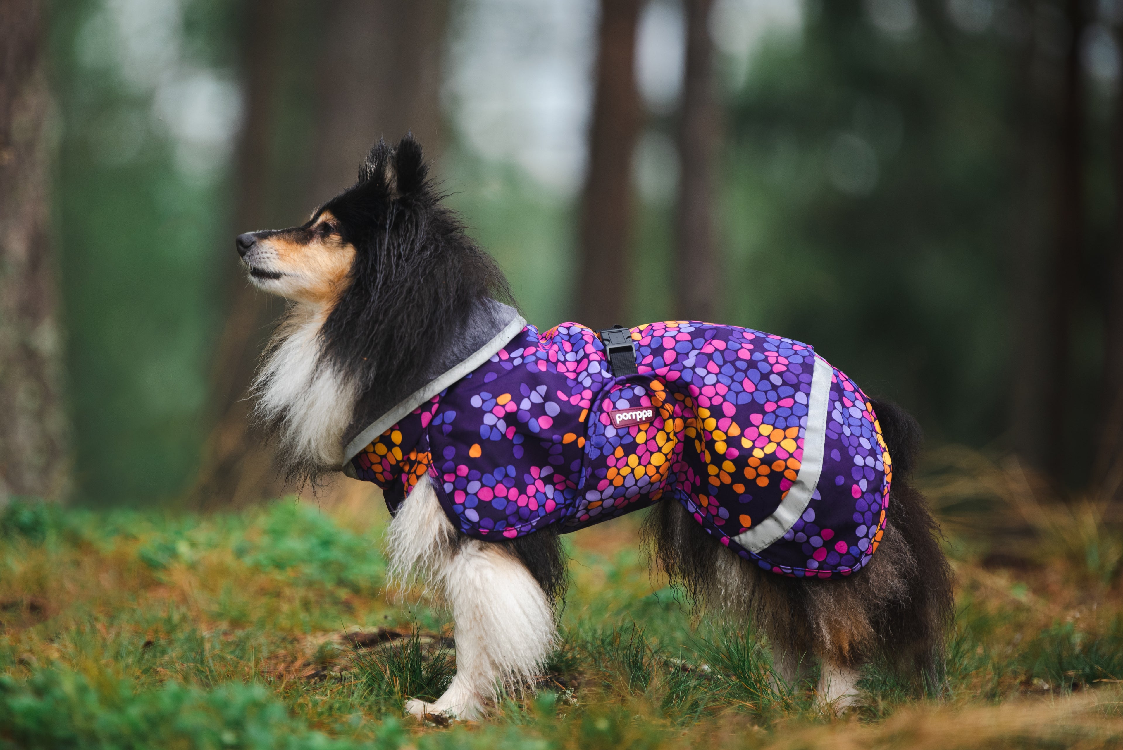 Pomppa Kevyt manteau imperméable pour chien Cosmos