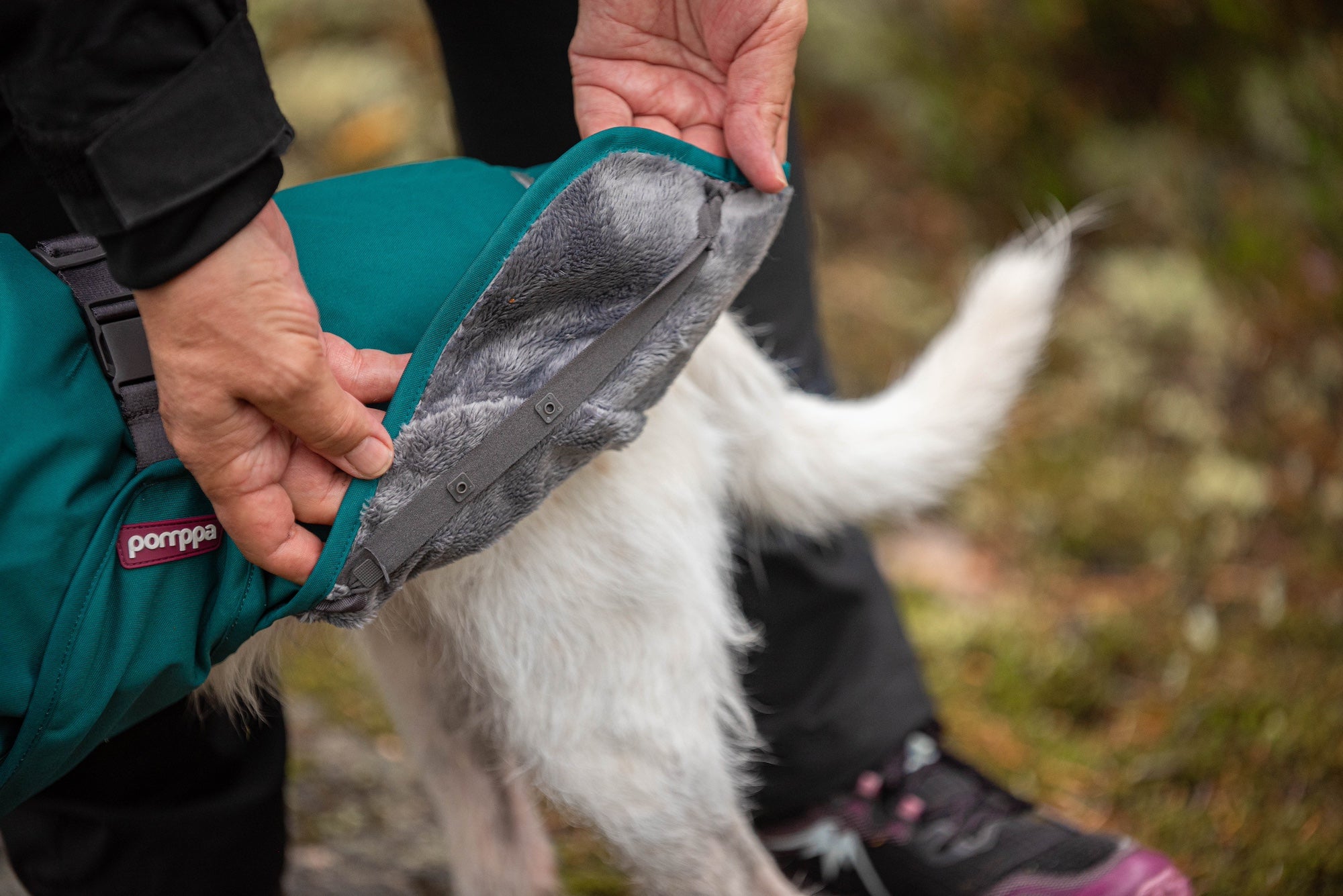 Pomppa Kevyt manteau imperméable pour chien Forest