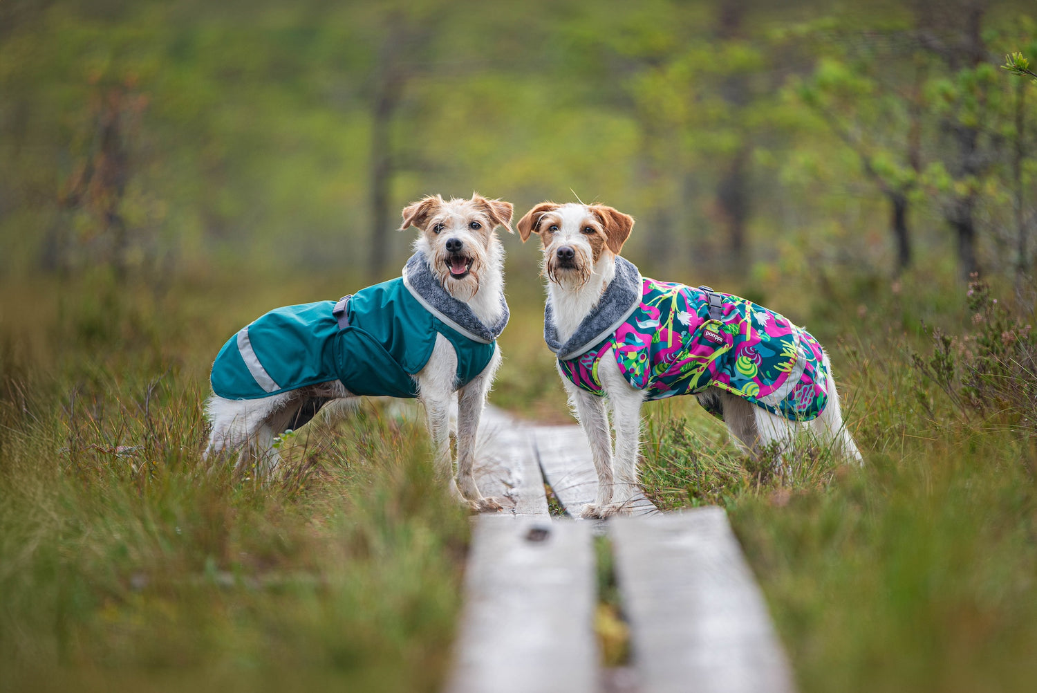 Pomppa Kevyt manteau imperméable pour chien Trail
