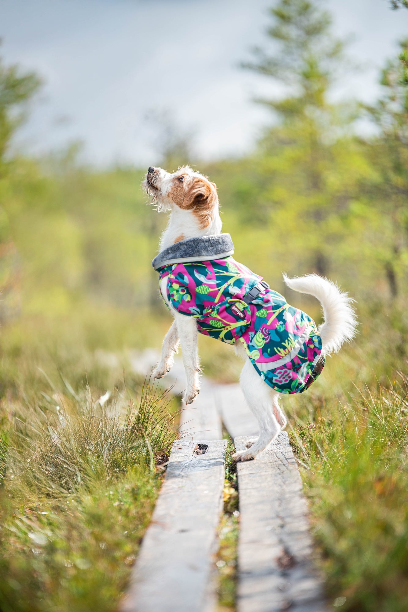 Pomppa Kevyt manteau imperméable pour chien Trail