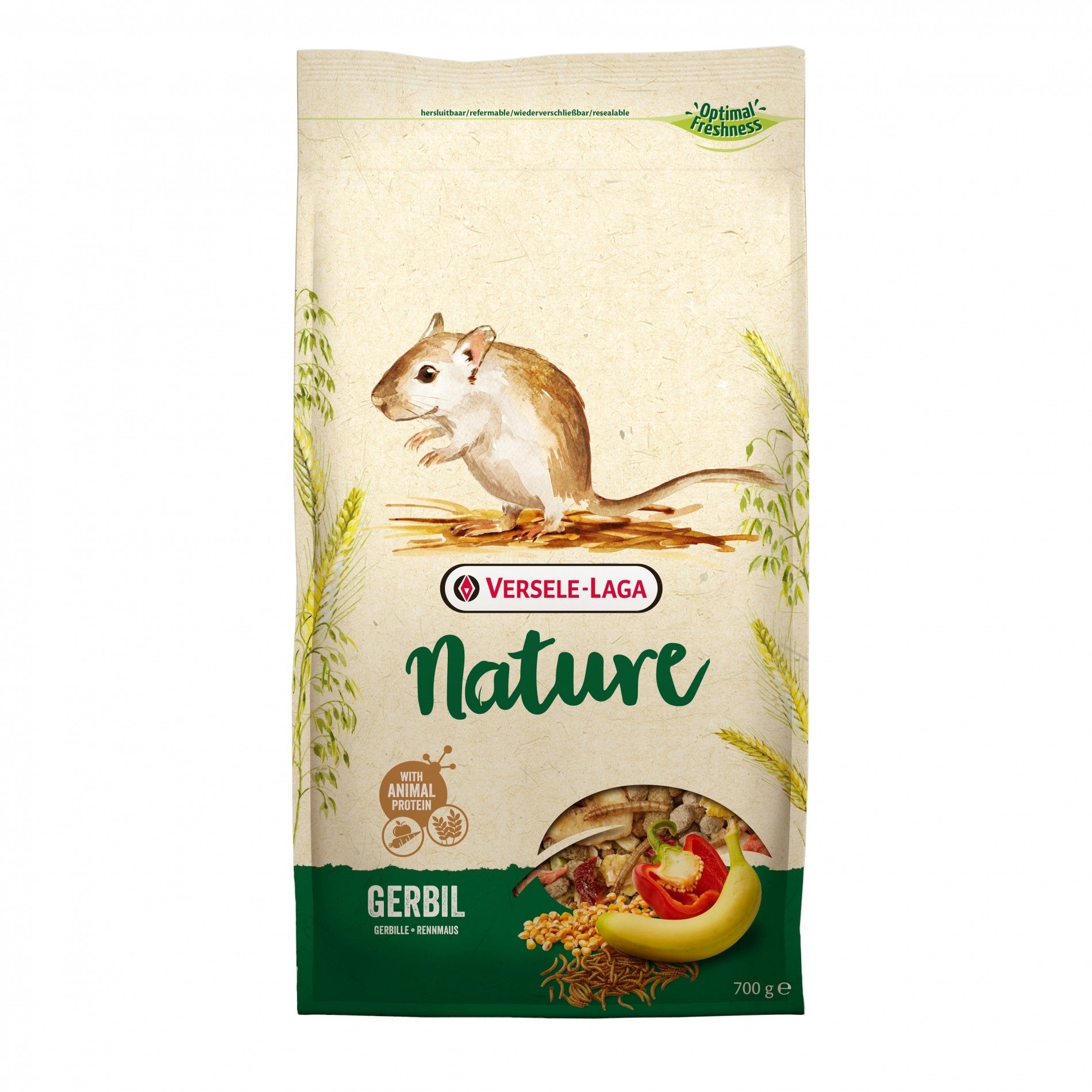 Gerbil Nature