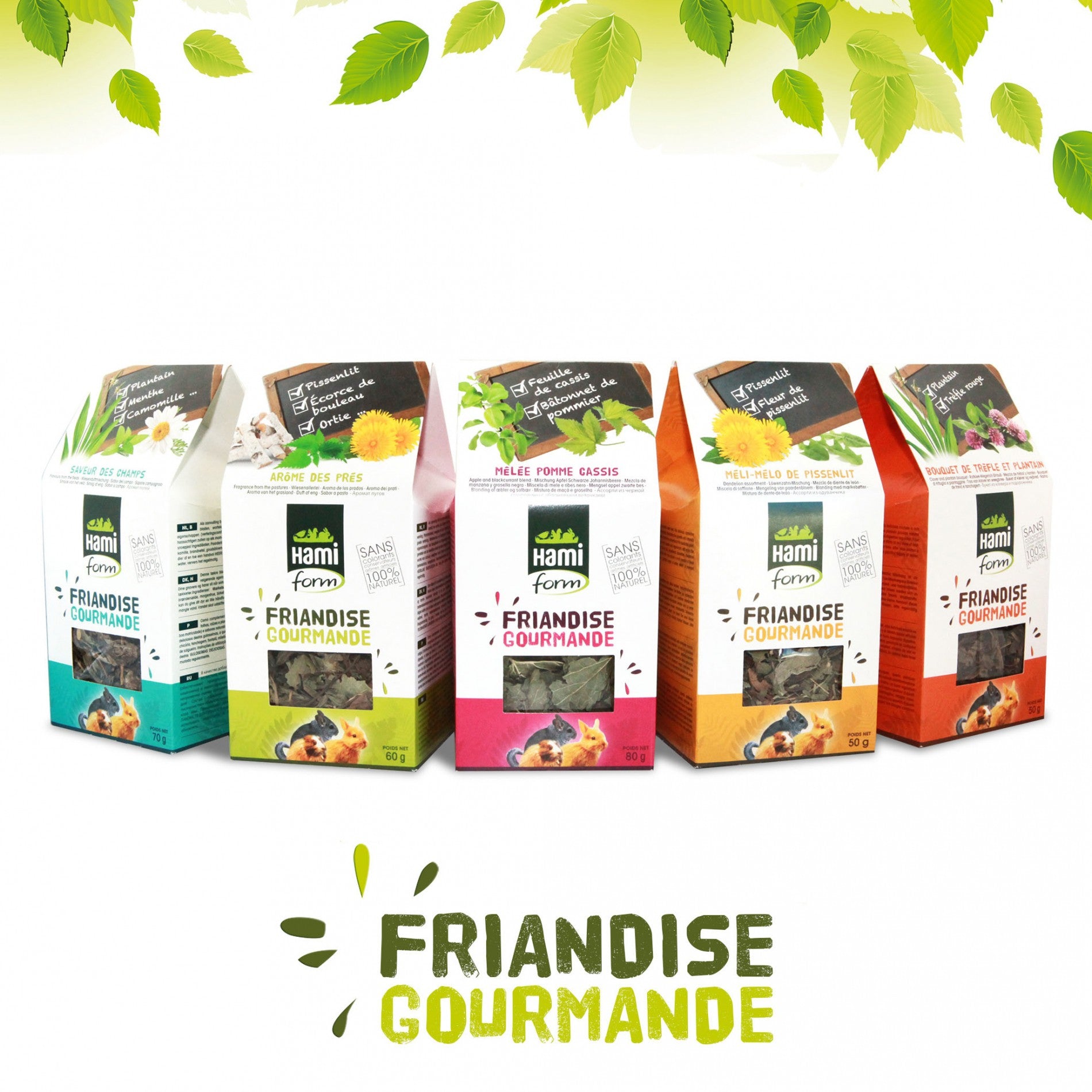 Friandise Gourmande