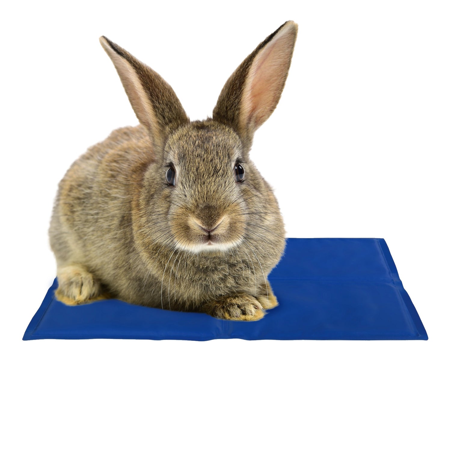 Tapis rafraîchissant Fresh