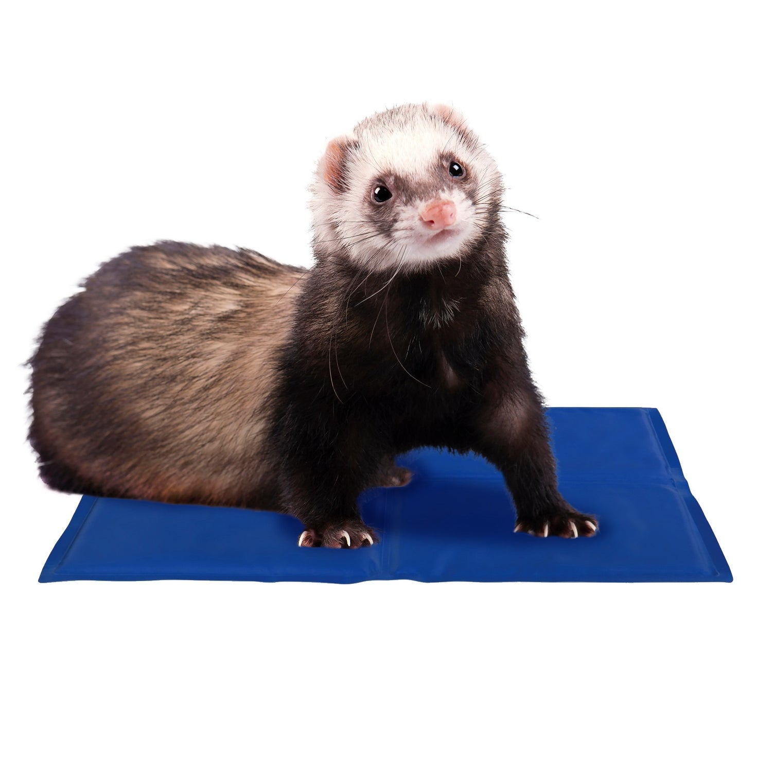 Tapis rafraîchissant Fresh