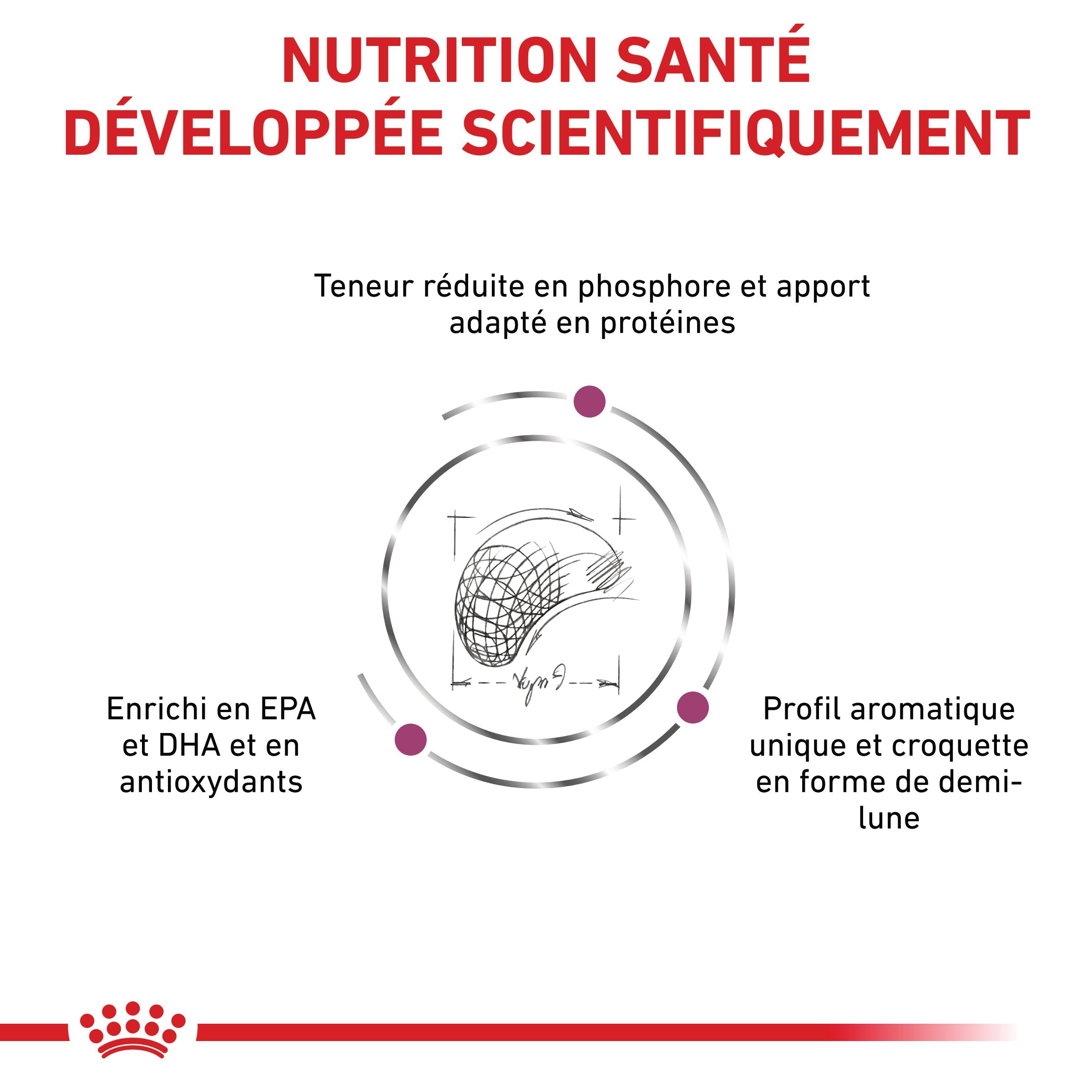 Royal Canin Veterinary Renal Select - Croquettes pour chien