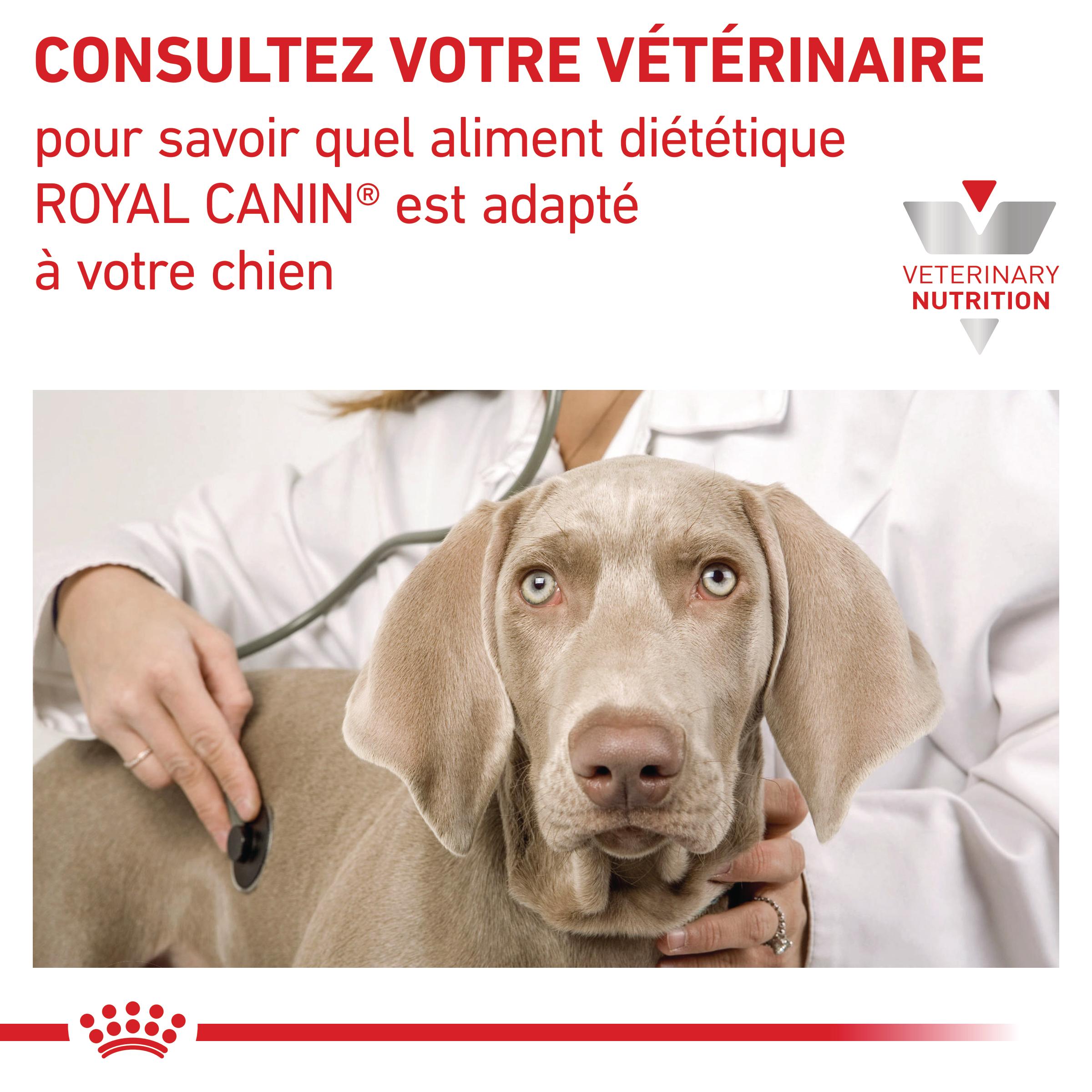 Royal Canin Veterinary Renal Select - Croquettes pour chien