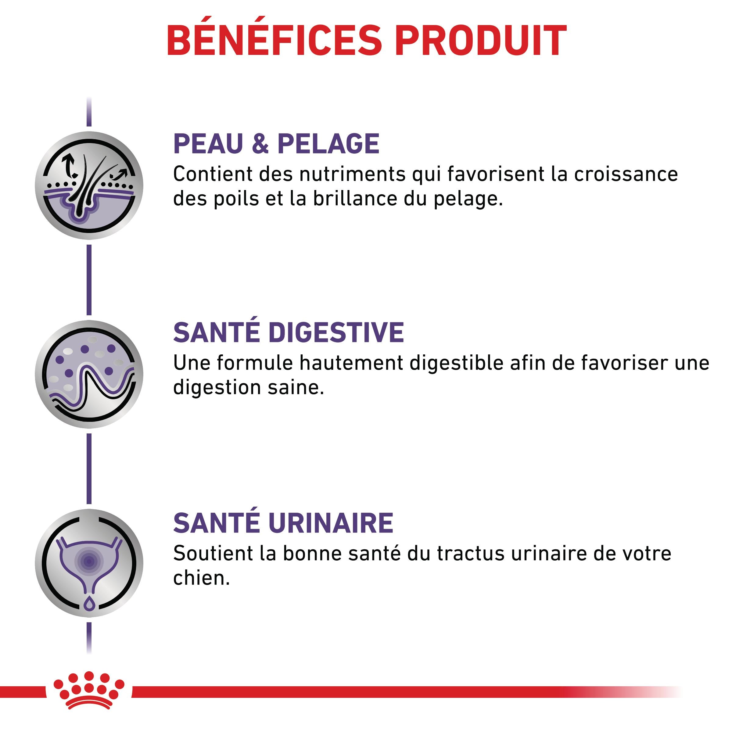Royal Canin Veterinary Dog Adult - Pâtée pour chien