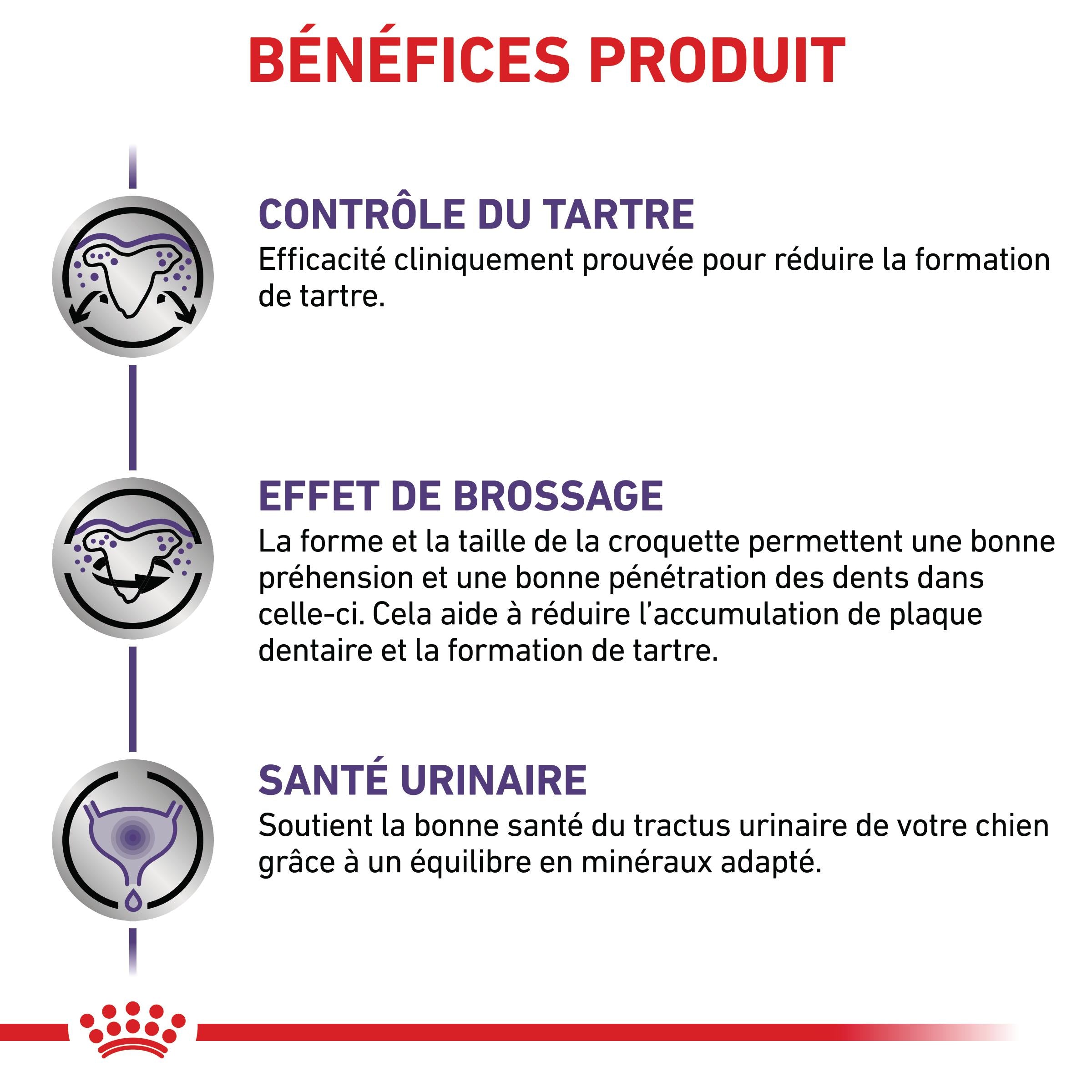 Royal Canin Veterinary Dental Small Dog