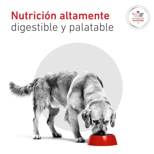 Royal Canin Glyobalance