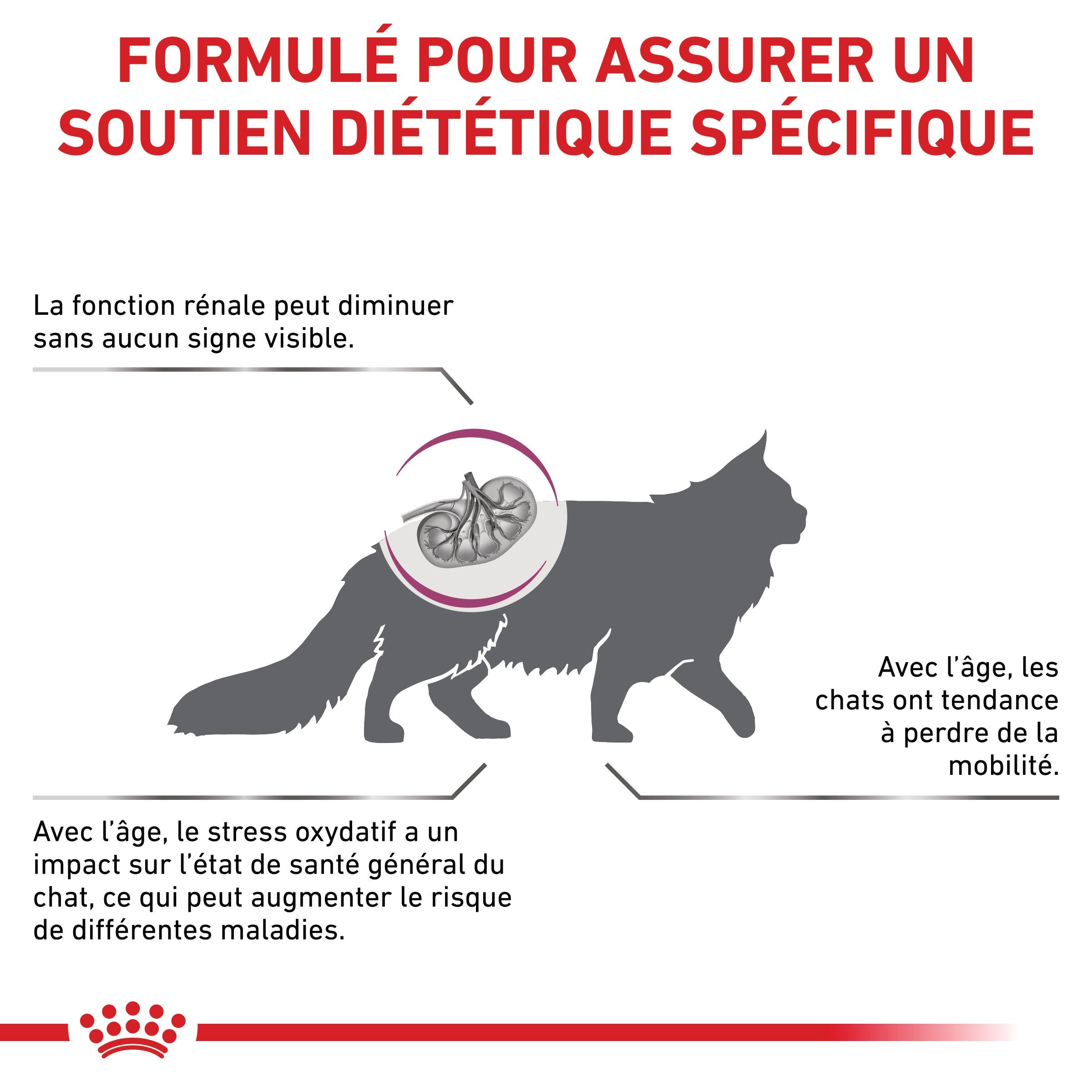 Royal Canin Veterinary Early Renal