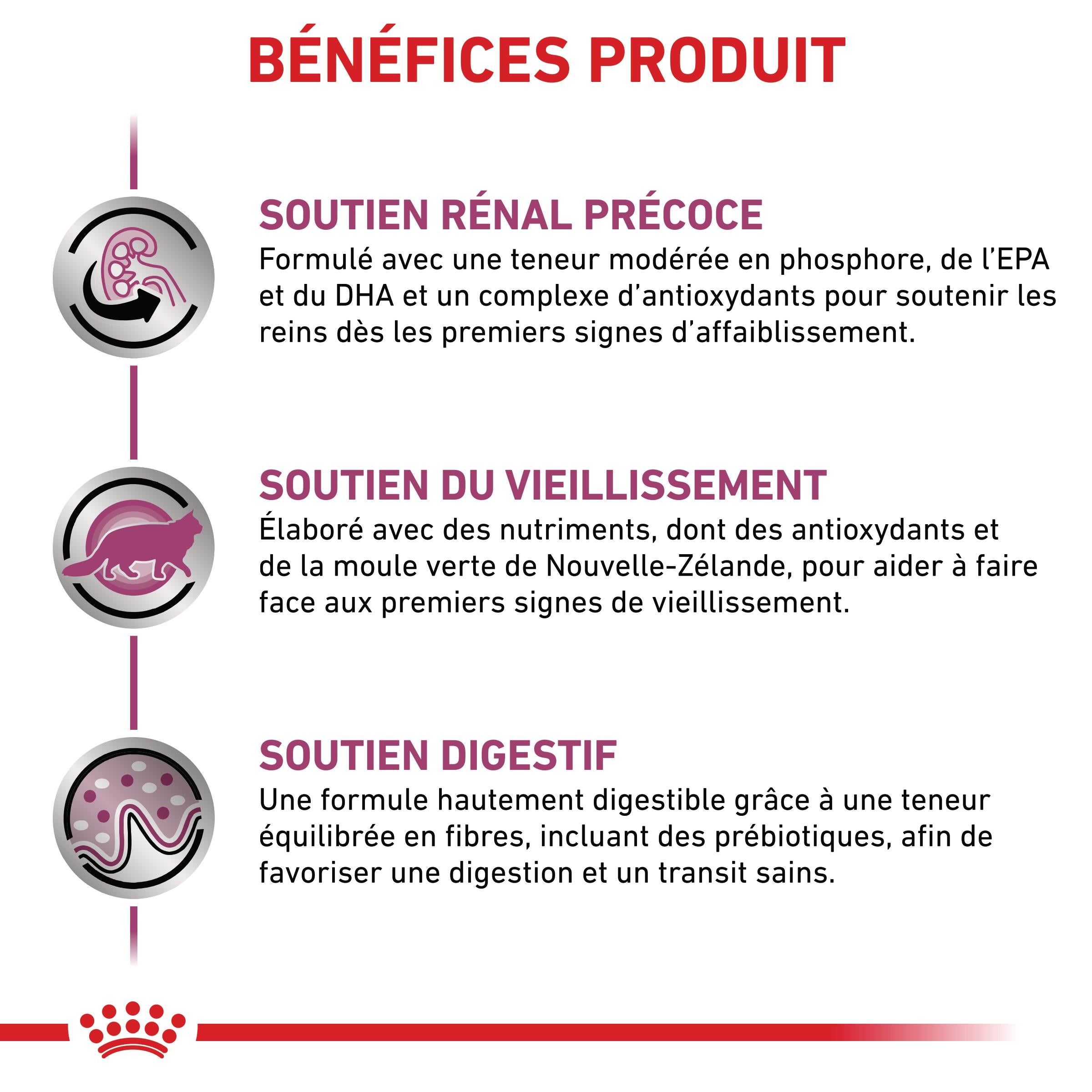 Royal Canin Veterinary Early Renal