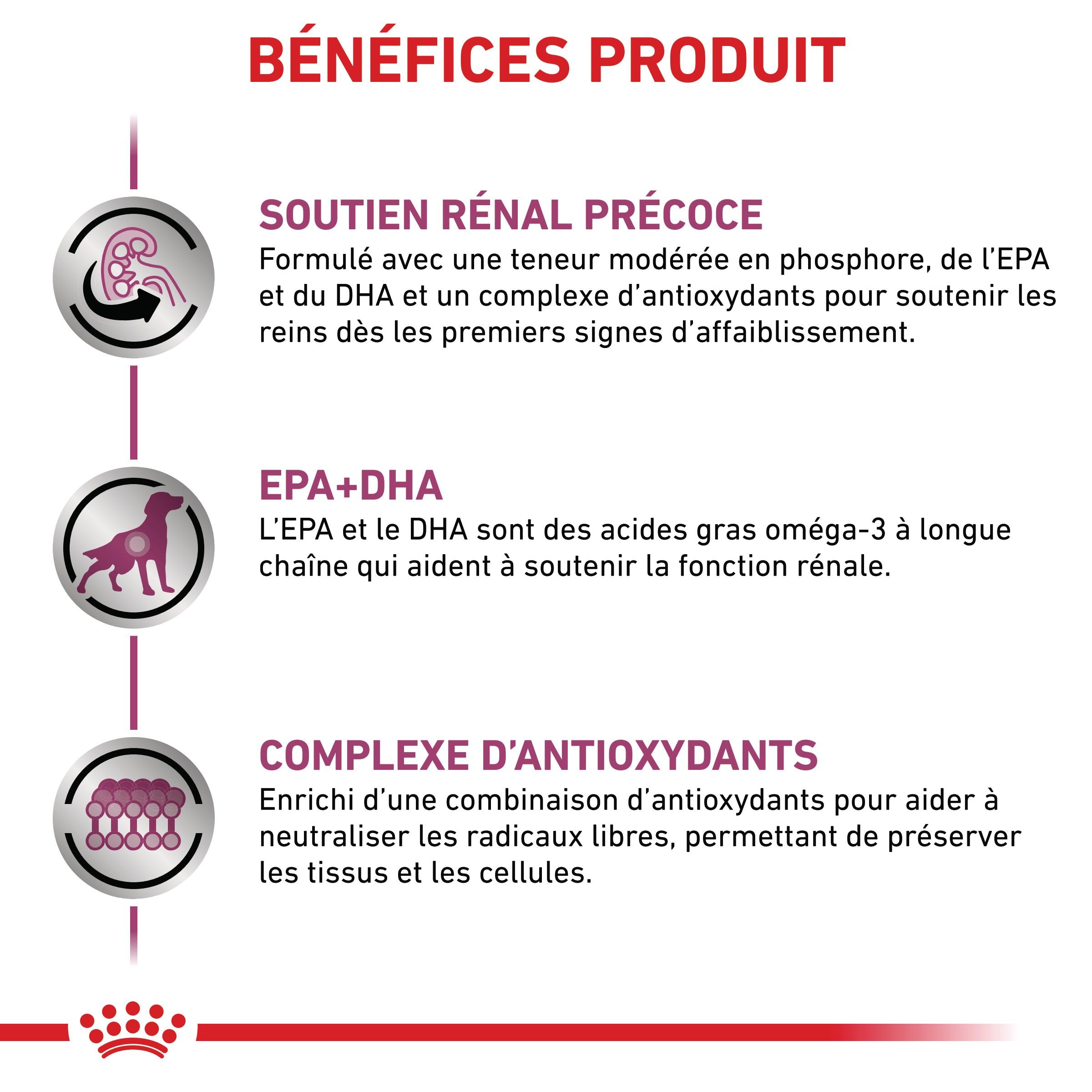 Royal Canin Early Renal - Pâtée pour chien