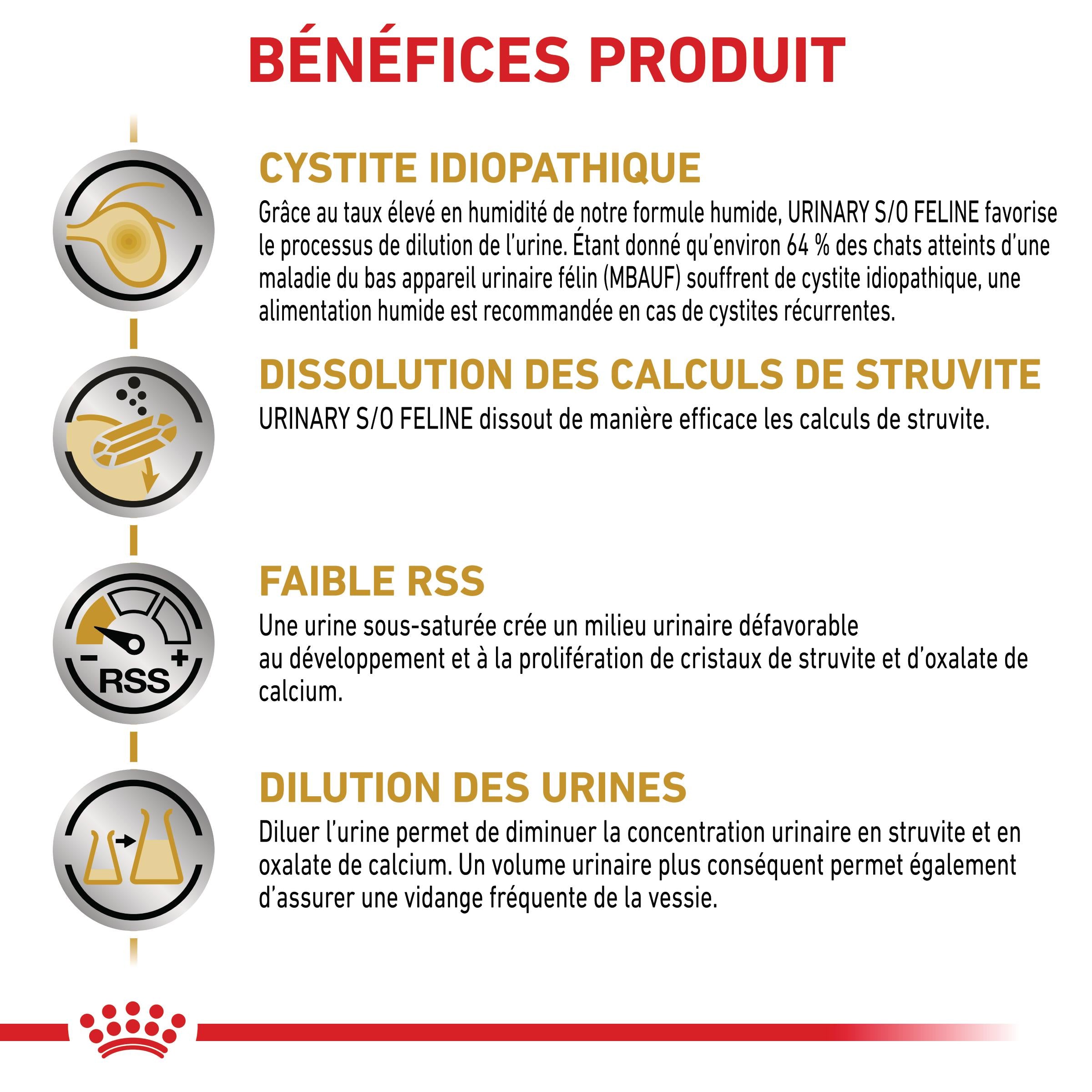 Royal Canin Veterinary Urinary S/O - Aliment pour chat