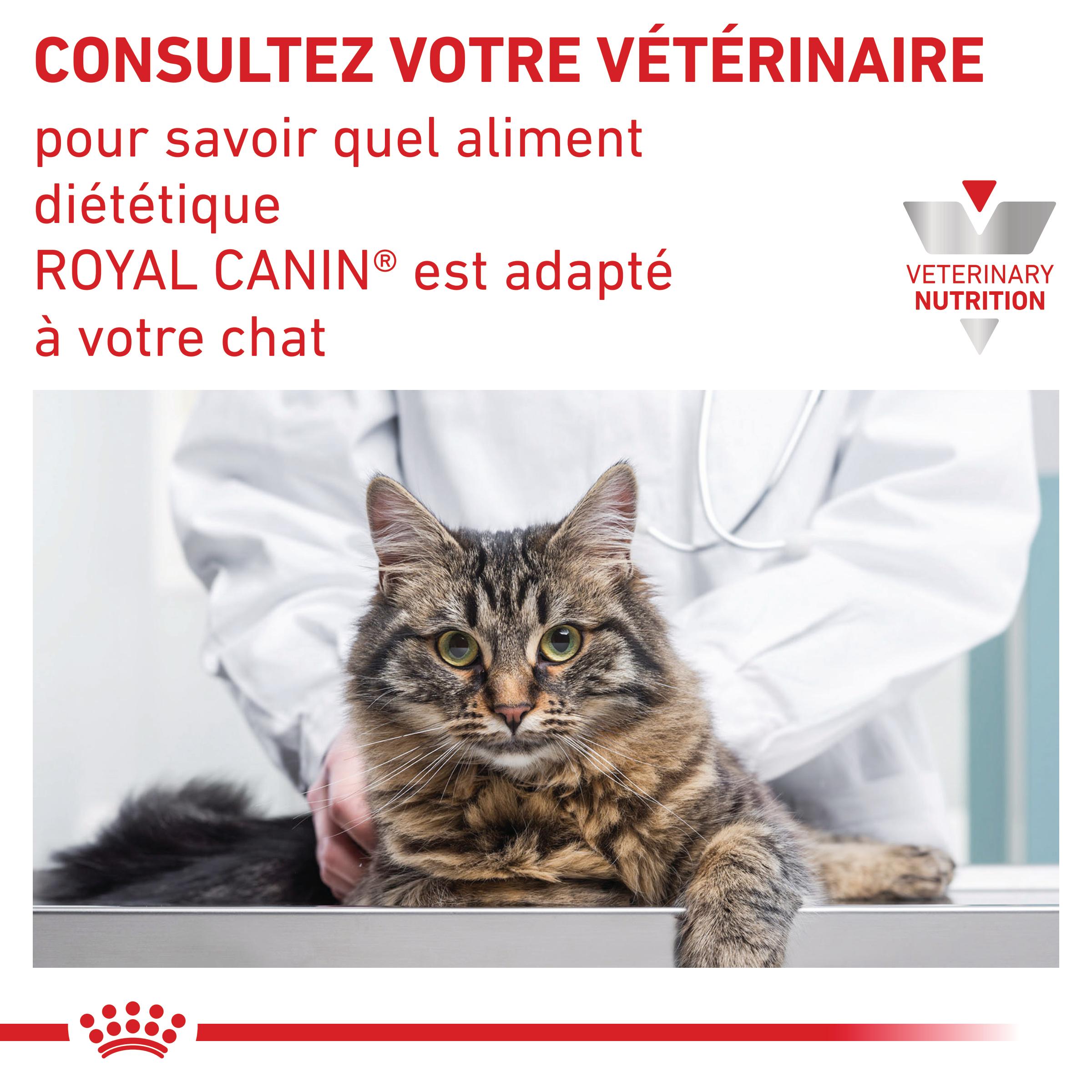 Royal Canin Veterinary Urinary S/O - Aliment pour chat
