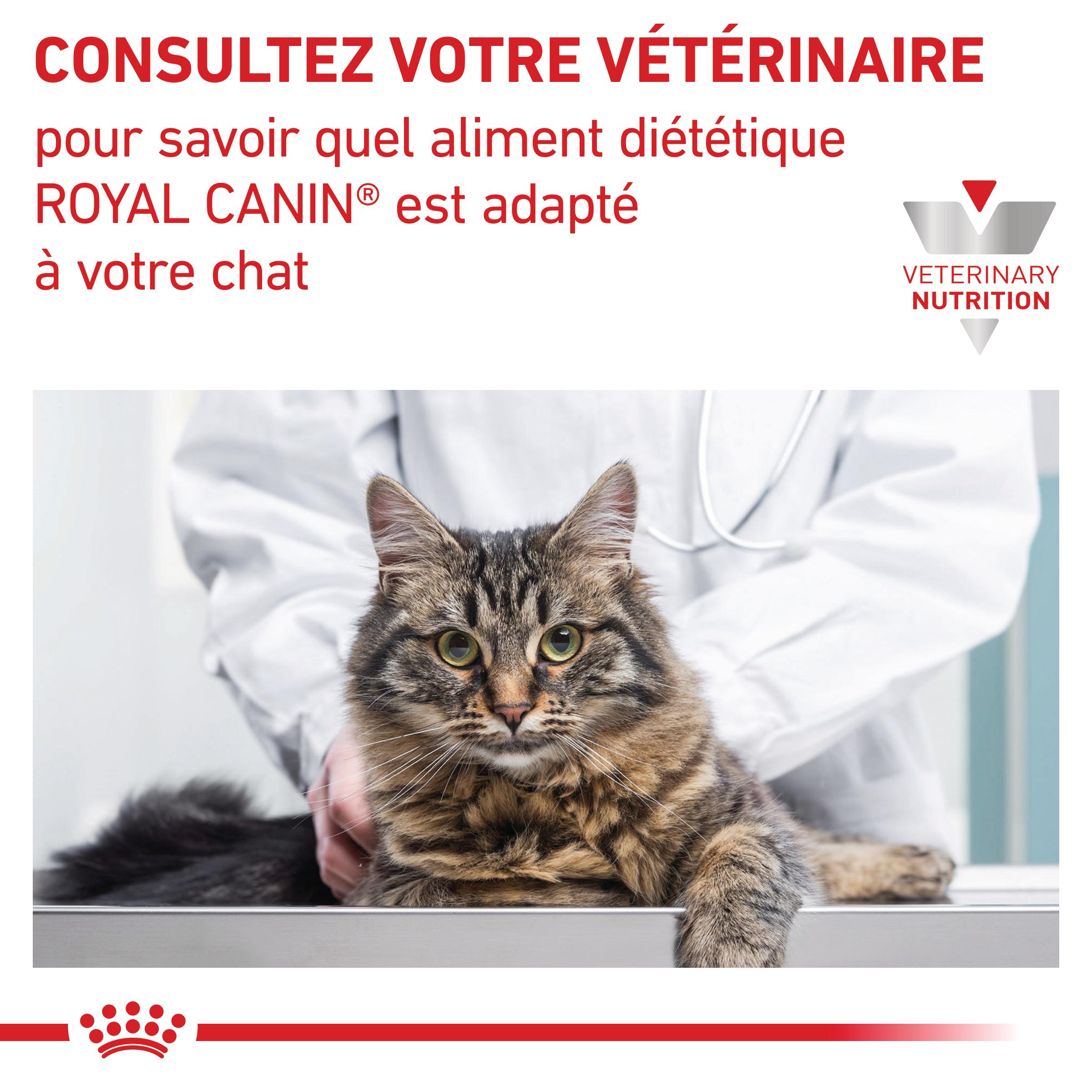 Royal Canin Veterinary Gastrointestinal Kitten