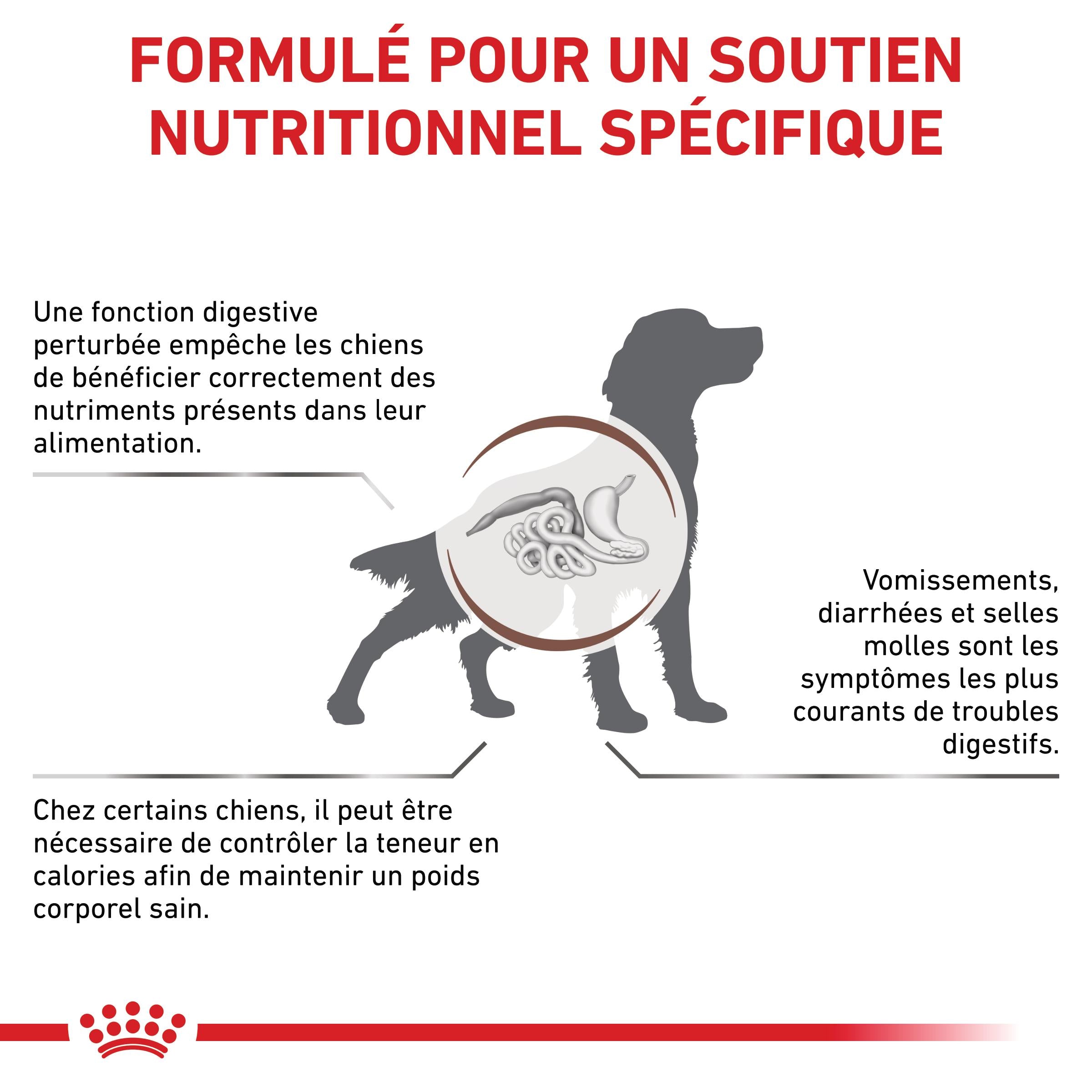 Royal Canin Veterinary Gastro Intestinal Moderate Calorie - croquettes chien