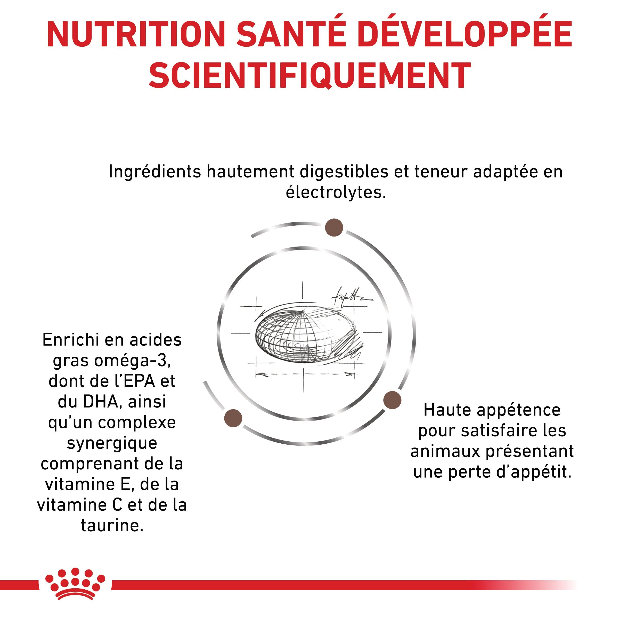 Royal Canin Veterinary Gastro Intestinal Moderate Calorie - croquettes chien