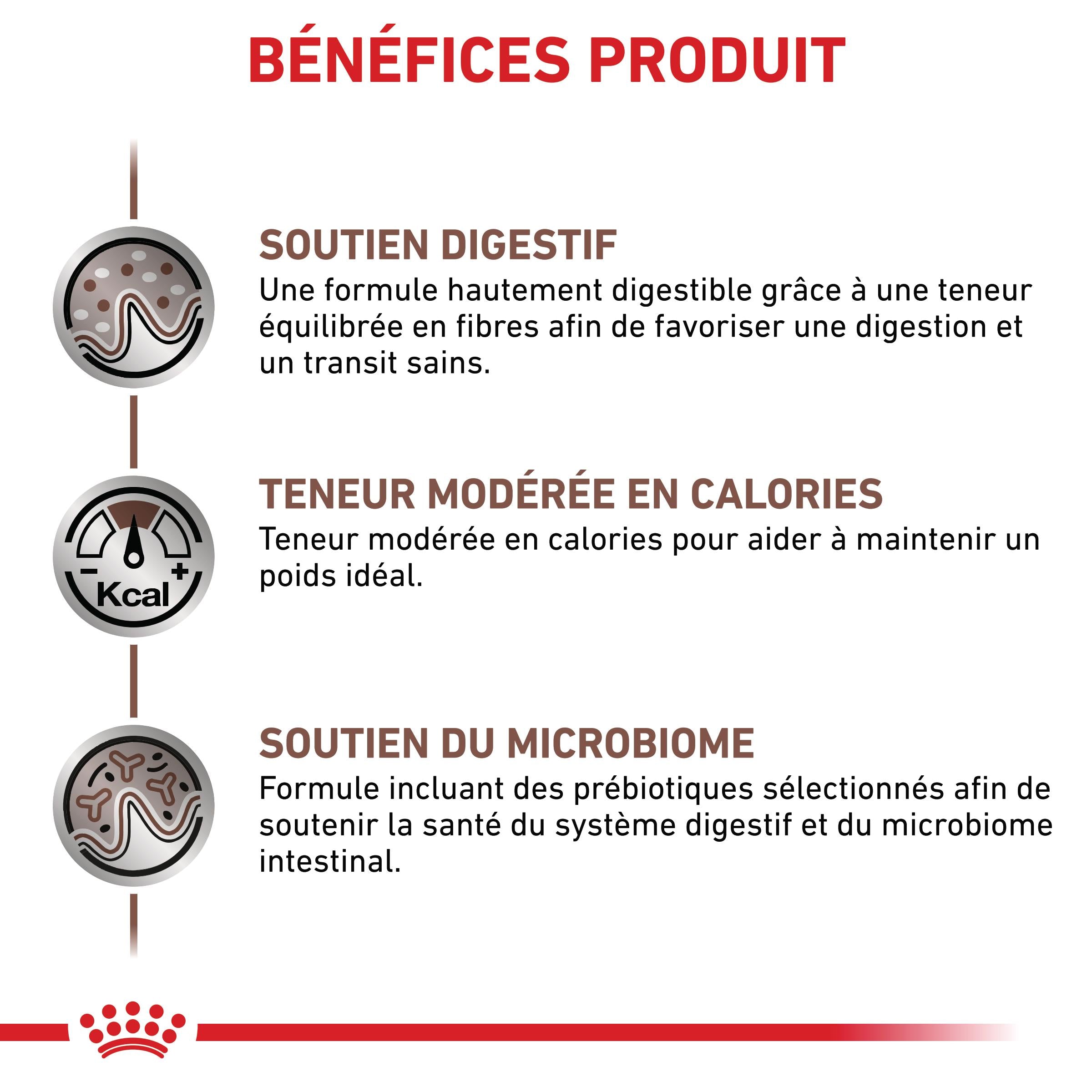 Royal Canin Veterinary Gastro Intestinal Moderate Calorie - croquettes chien