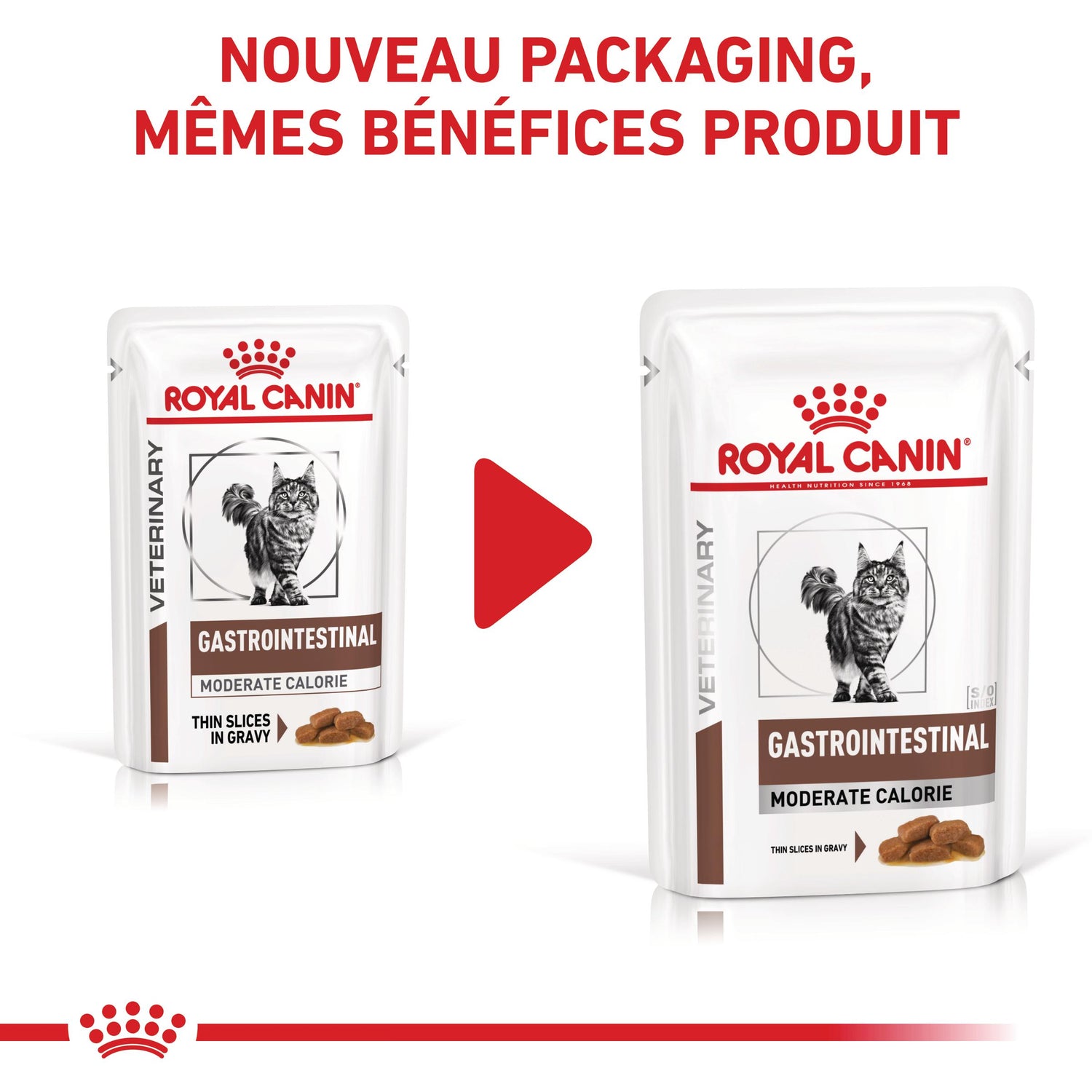 Royal Canin Veterinary Gastrointestinal Moderate Calorie