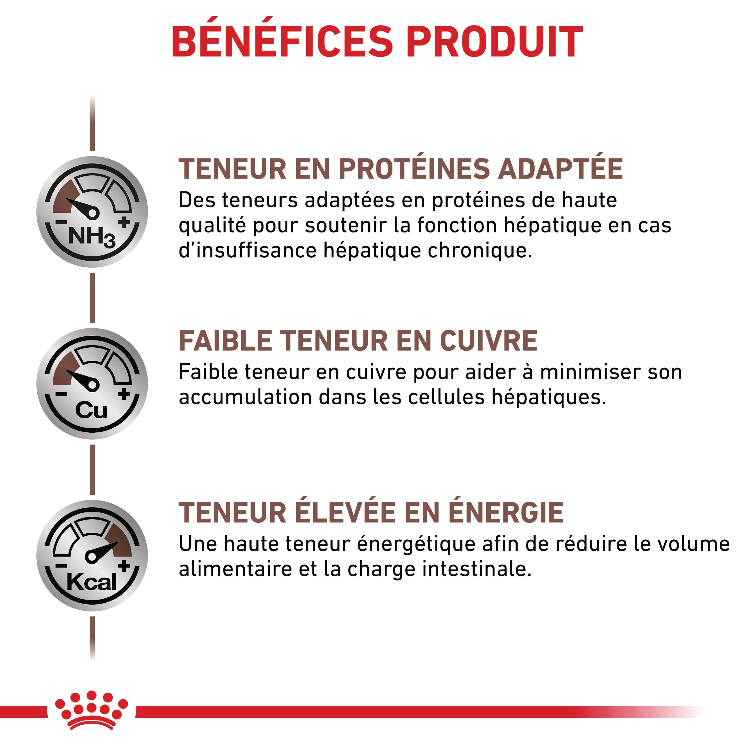 Royal Canin Veterinary Hepatic - Pour chat