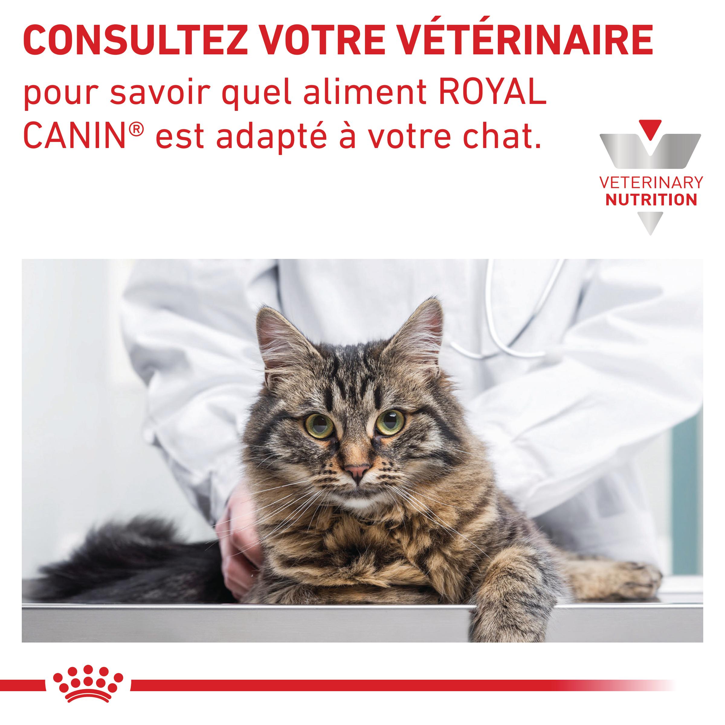 Royal Canin Veterinary Hepatic - Pour chat