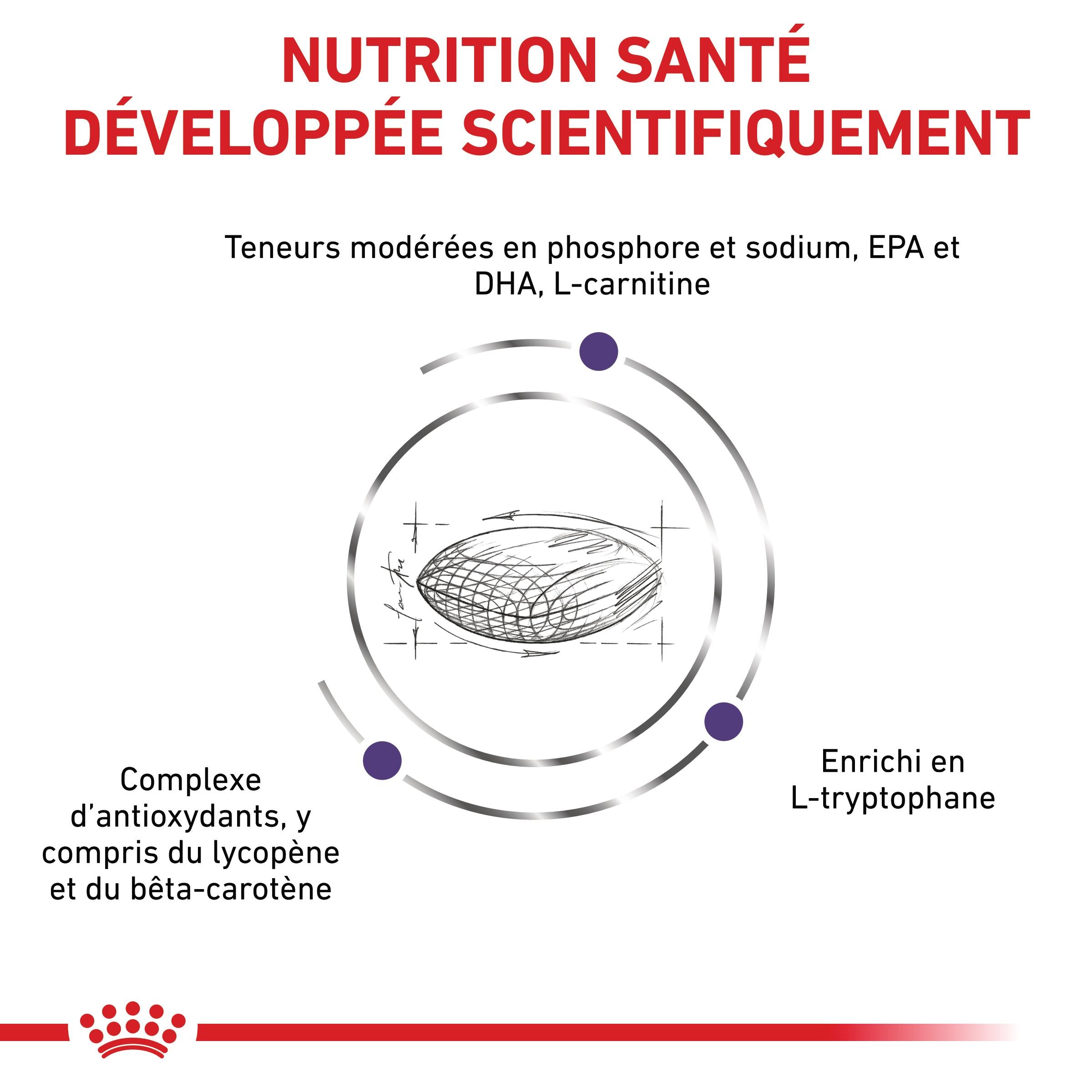 Royal Canin Vet Care Mature Small Dog / Mature Consult Small Dogs