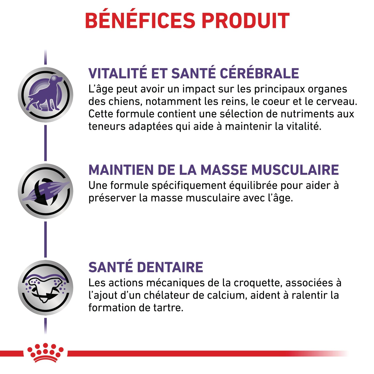 Royal Canin Vet Care Mature Small Dog / Mature Consult Small Dogs