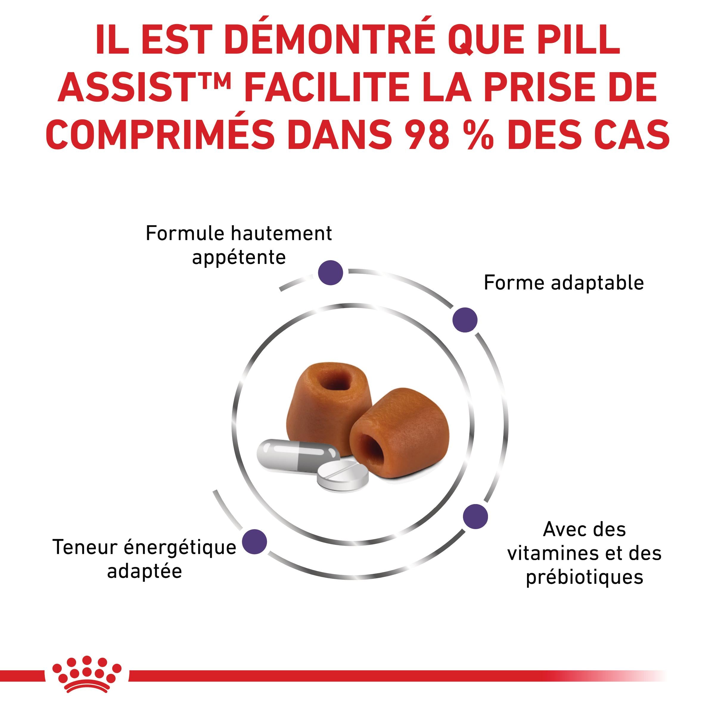 Pill Assist Cache comprimés Chien