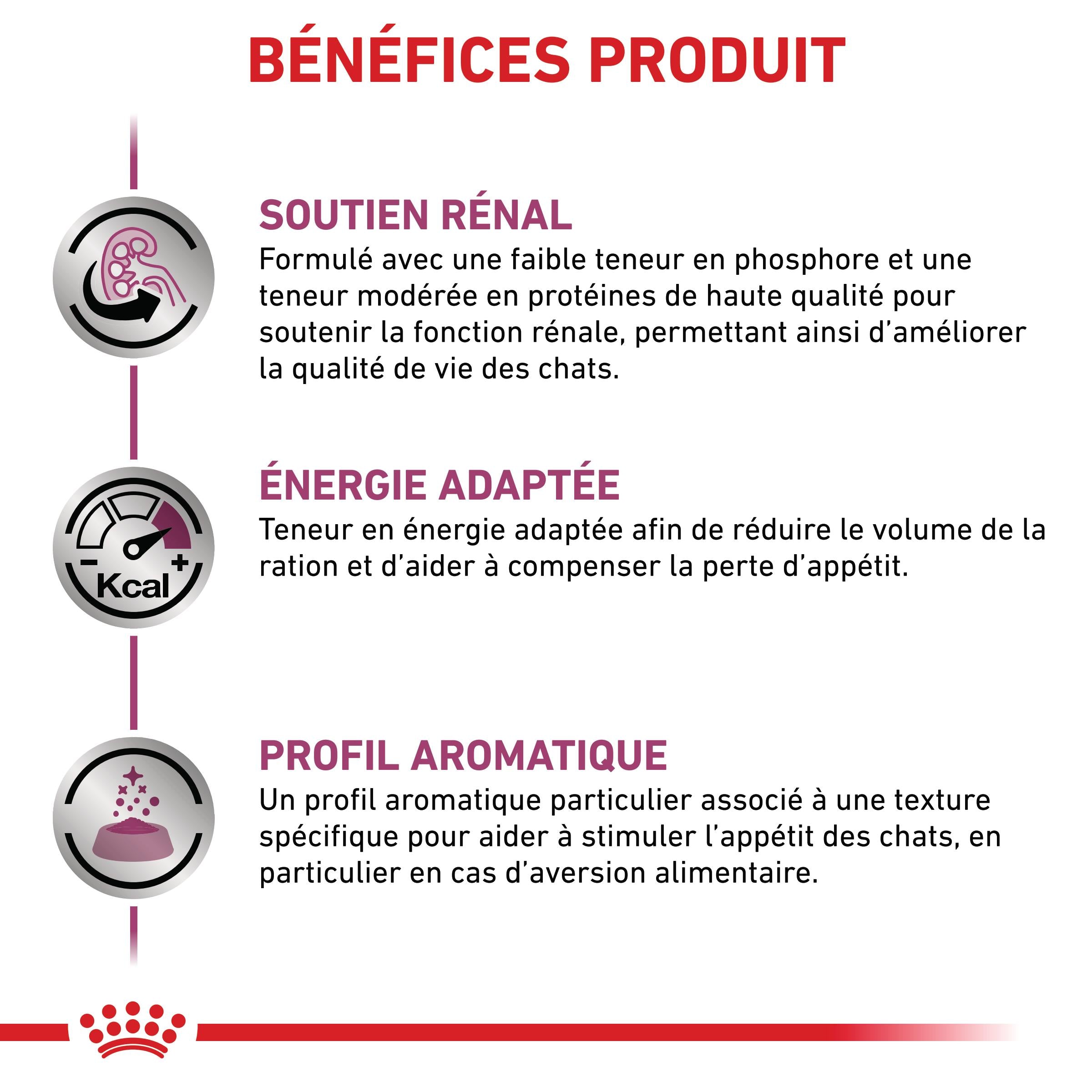 Royal Canin Veterinary Renal - Aliment pour chat