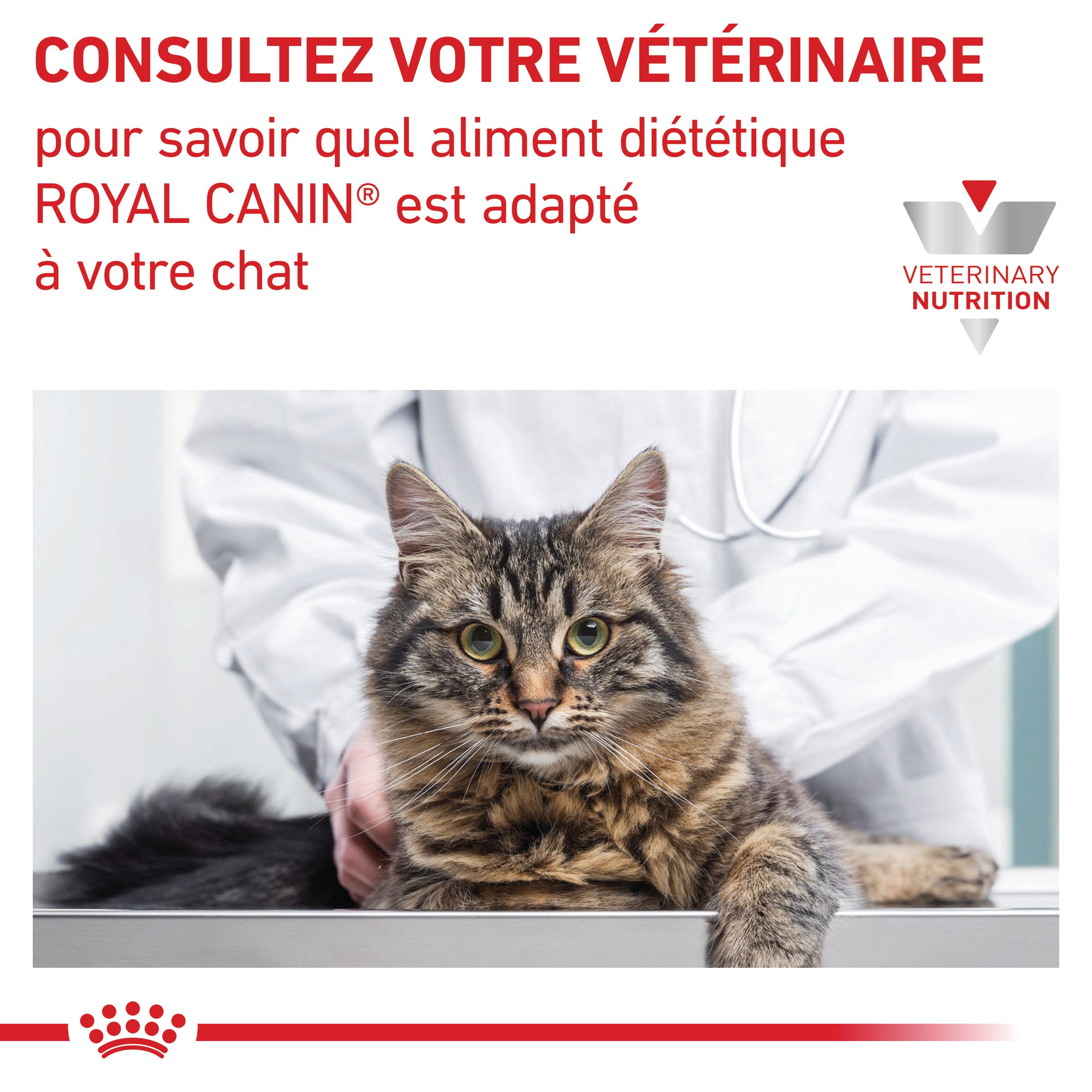 Royal Canin Veterinary Renal - Aliment pour chat