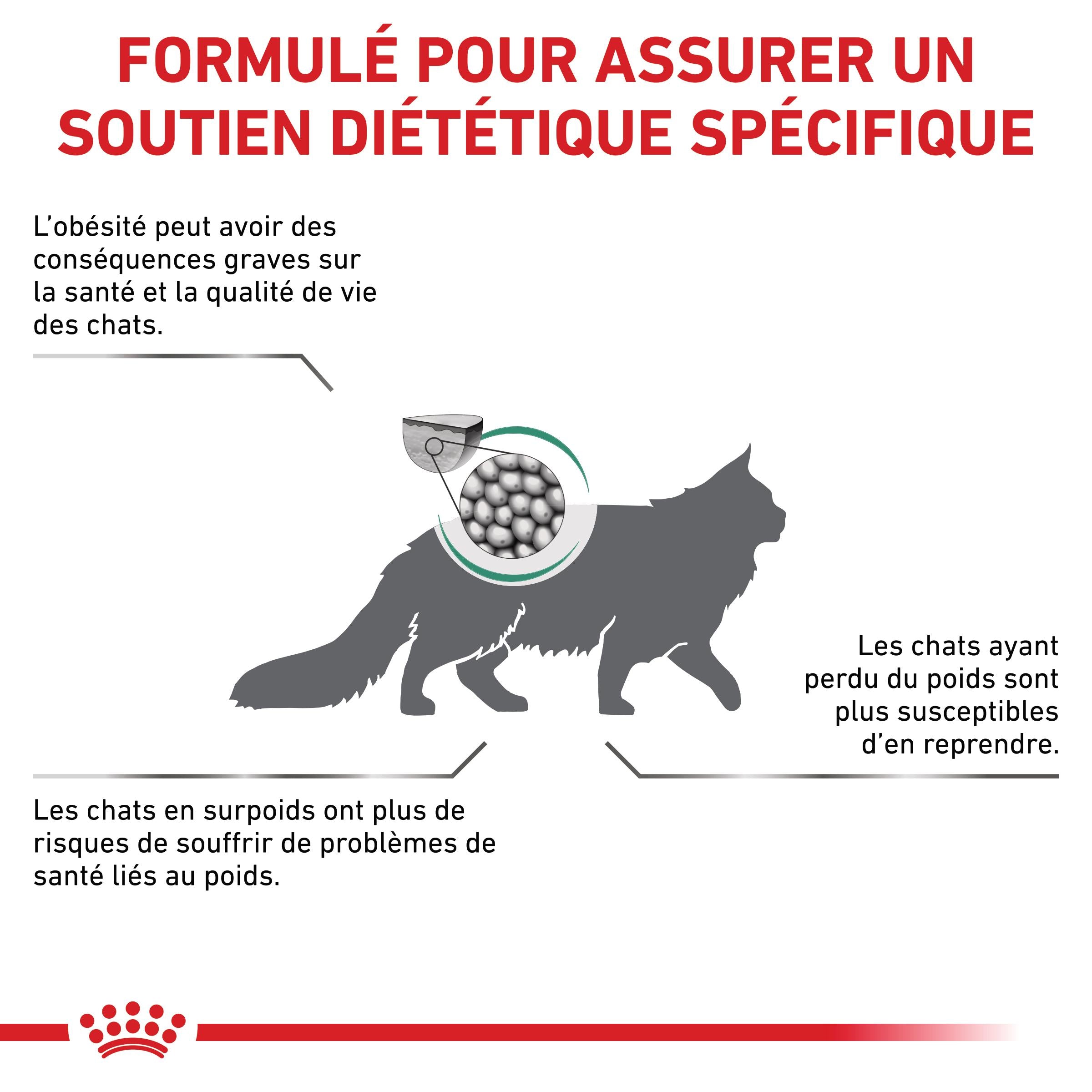 Royal Canin Veterinary Satiety Weight Management - Aliment pour chat