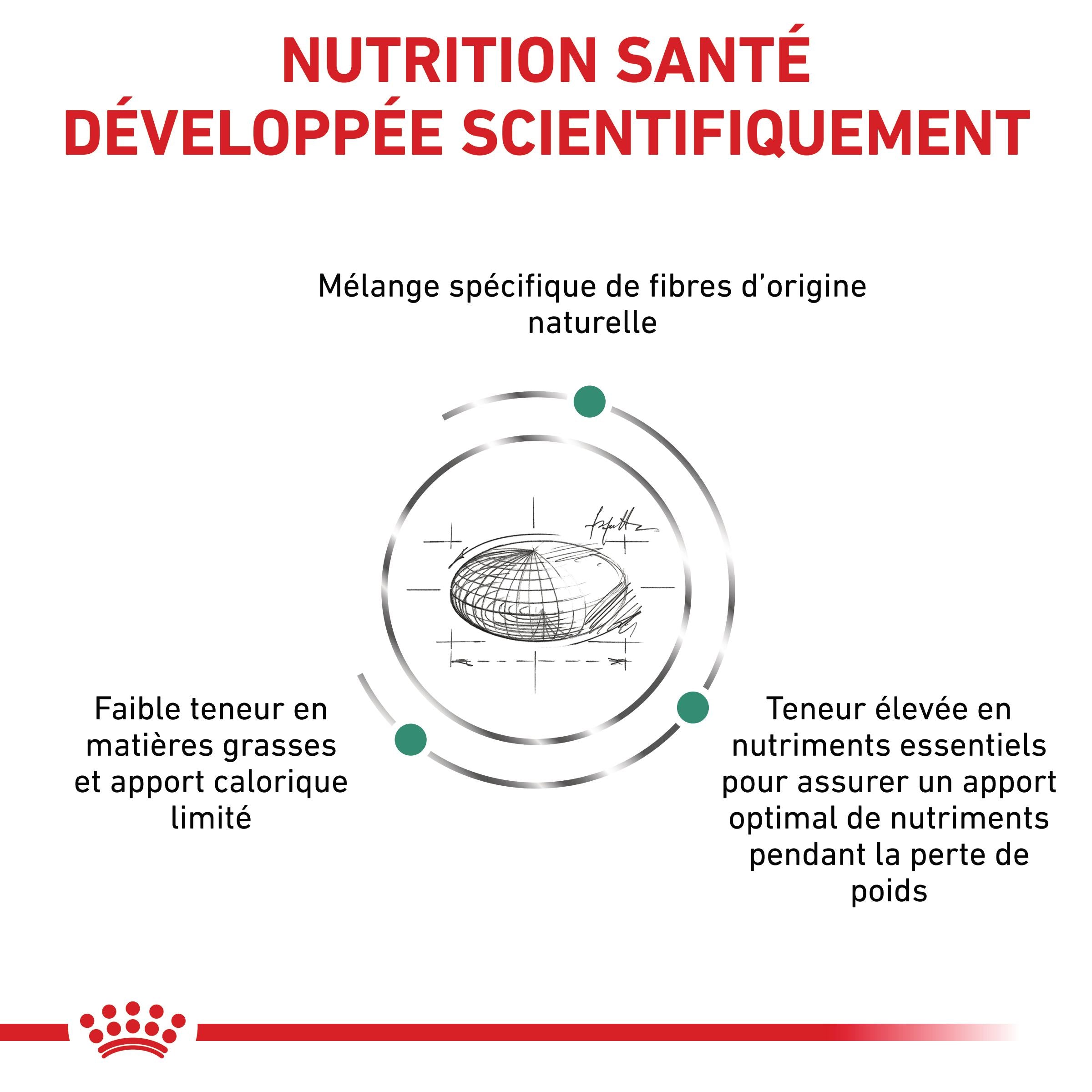 Royal Canin Veterinary Satiety Weight Management - Aliment pour chat