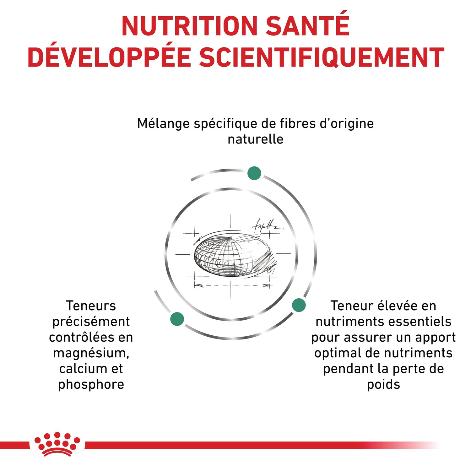 Royal Canin Veterinary Satiety Weight Management Small Dog - Croquettes pour chien
