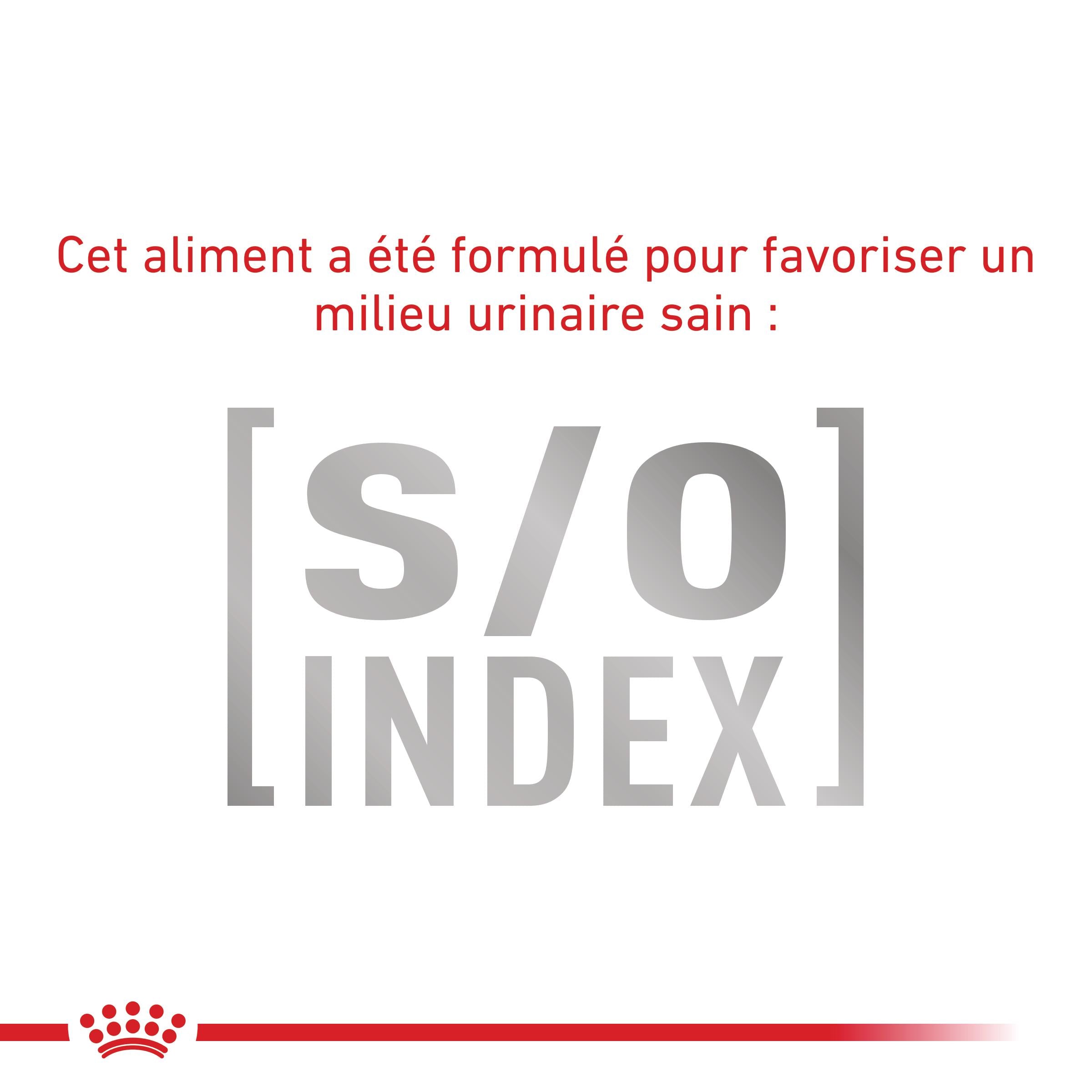 Royal Canin Veterinary Satiety Weight Management Small Dog - Croquettes pour chien