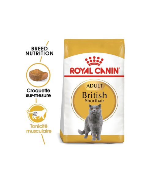 Royal Canin British Shorthair Adult