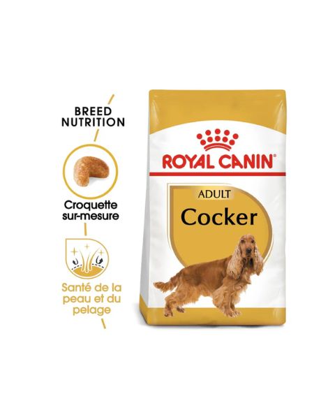Royal Canin Cocker Adult - Croquettes pour chien