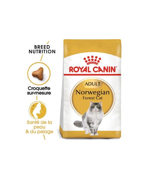 Royal Canin Norvégien Adult 10KG