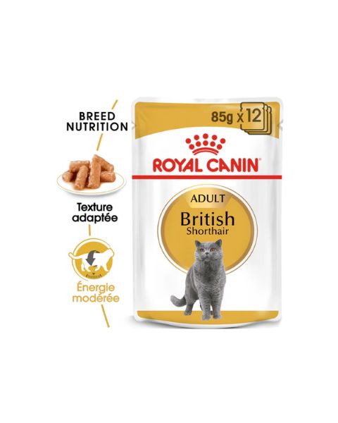 Royal Canin British Shorthair - Pâtée en sachet pour chat