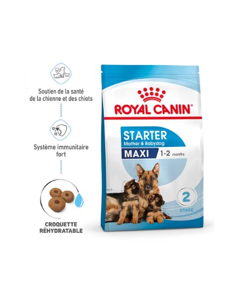 ROYAL CANIN Starter Maxi Mother & Babydog - Croquettes pour chiot