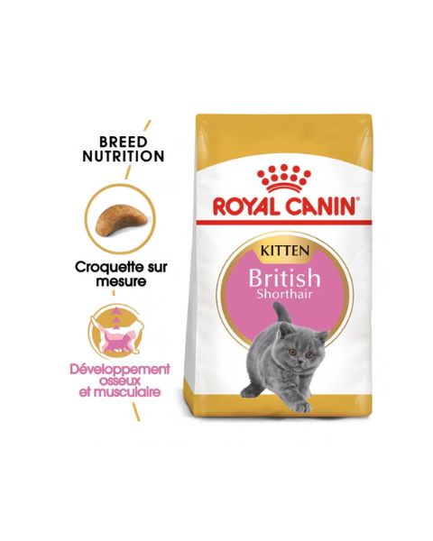 Royal Canin British Shorthair Kitten