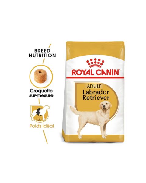 Royal Canin Labrador Retriever Adult - Croquettes pour chien