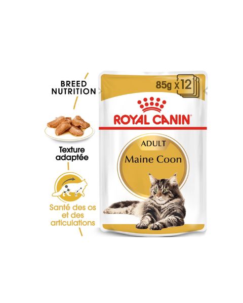 Royal Canin Maine Coon