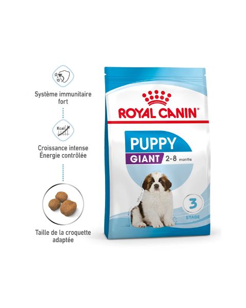 Royal Canin Giant Puppy - Croquettes pour chiot