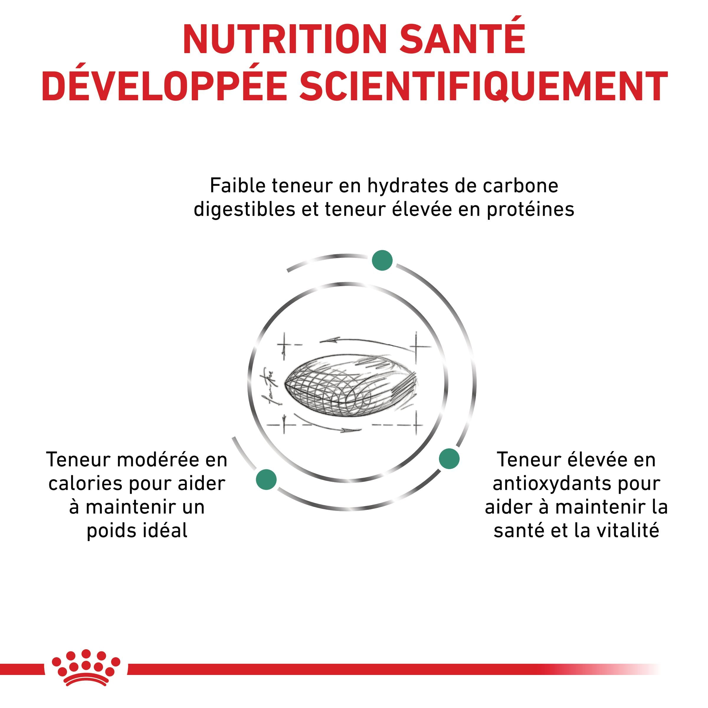 Royal Canin Veterinary Diabetic - Croquettes pour chat