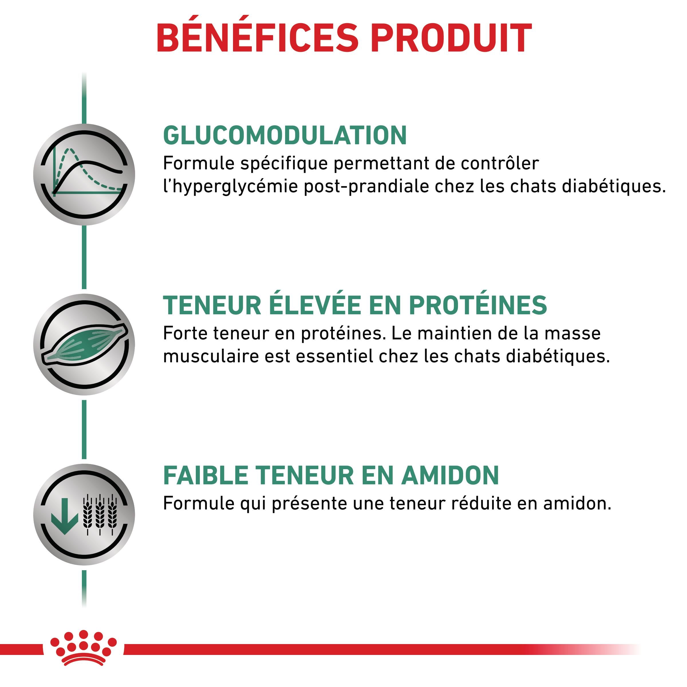 Royal Canin Veterinary Diabetic - Croquettes pour chat